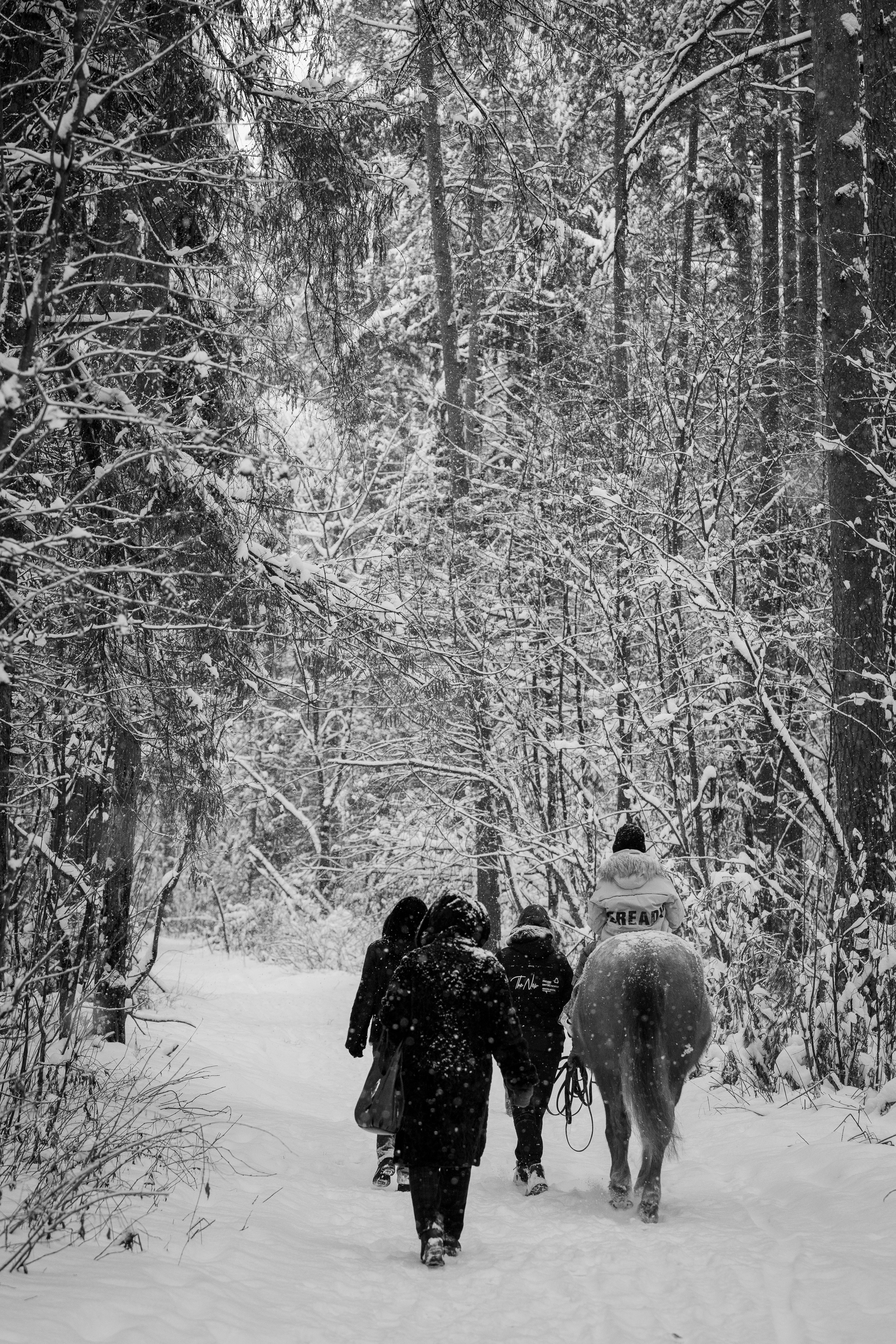 Зимняя фотосессия в лесу. Портретный фотограф Олеся Владимирова в Москве