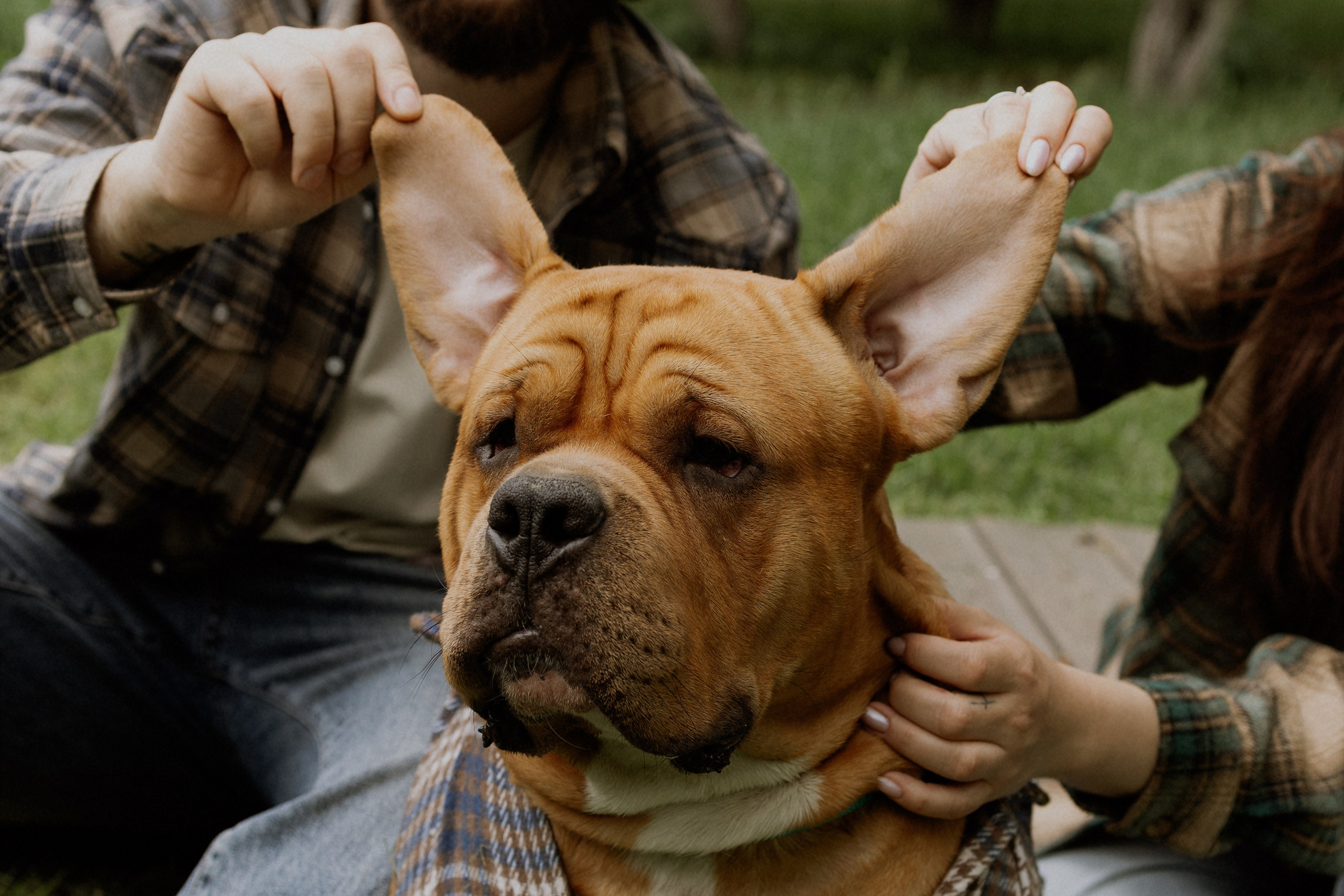 Артем, Нина и Гаара. Семейный фотограф Надежда Каримова | Иркутск Байкал Аршан