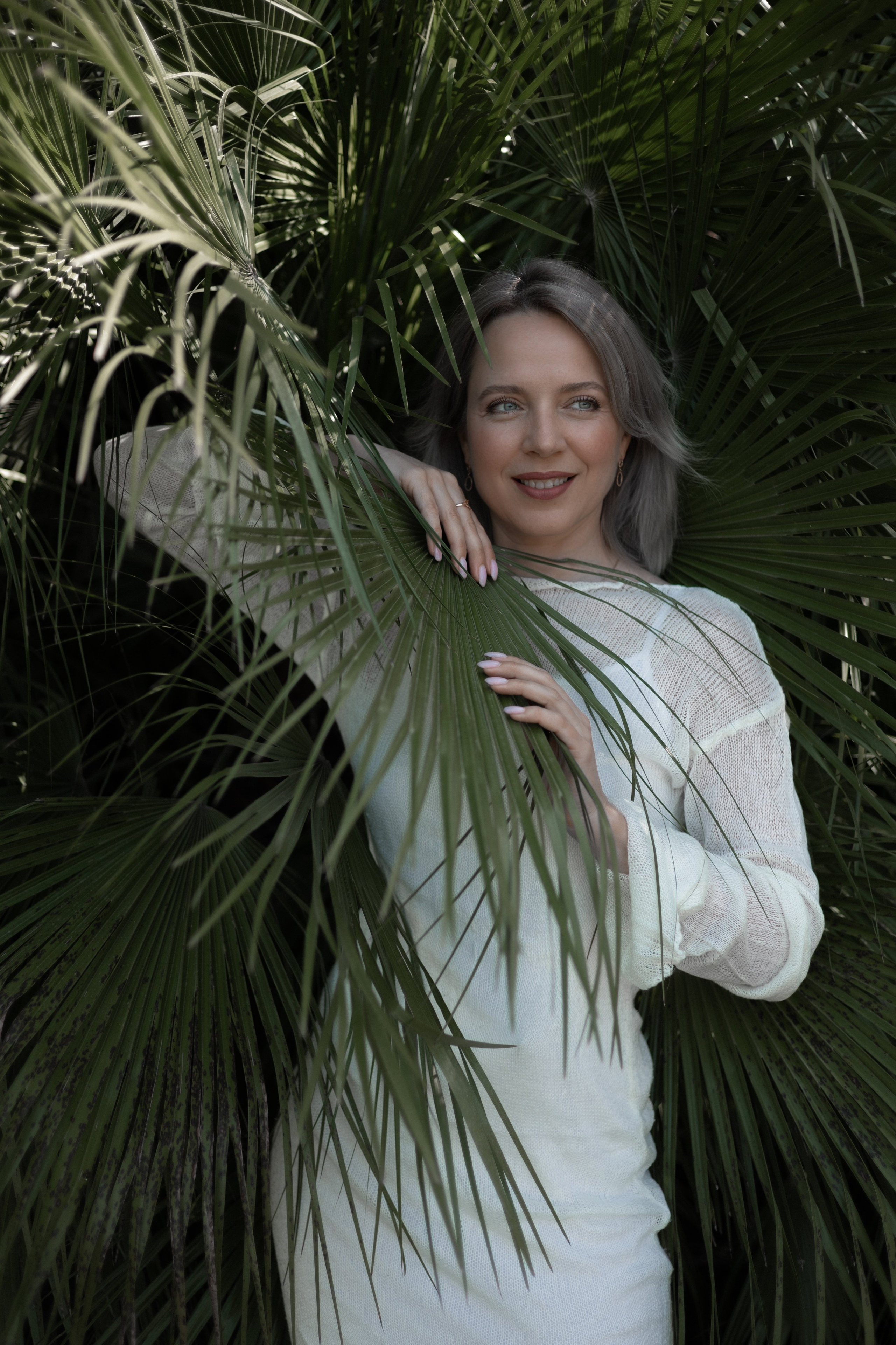 Пальмы. Главная