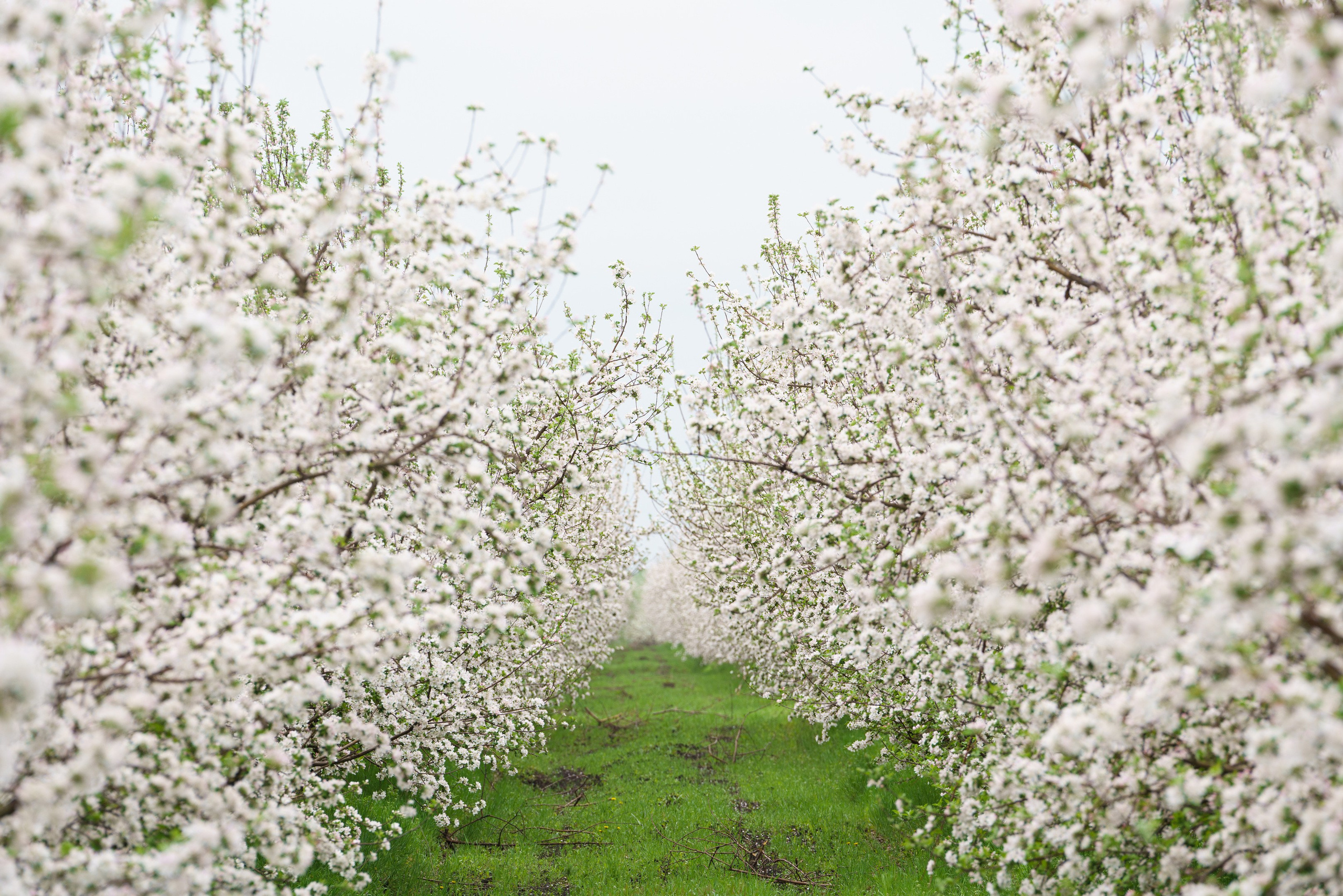 Фотографии России. Фотографии Дмитрия Захаренко