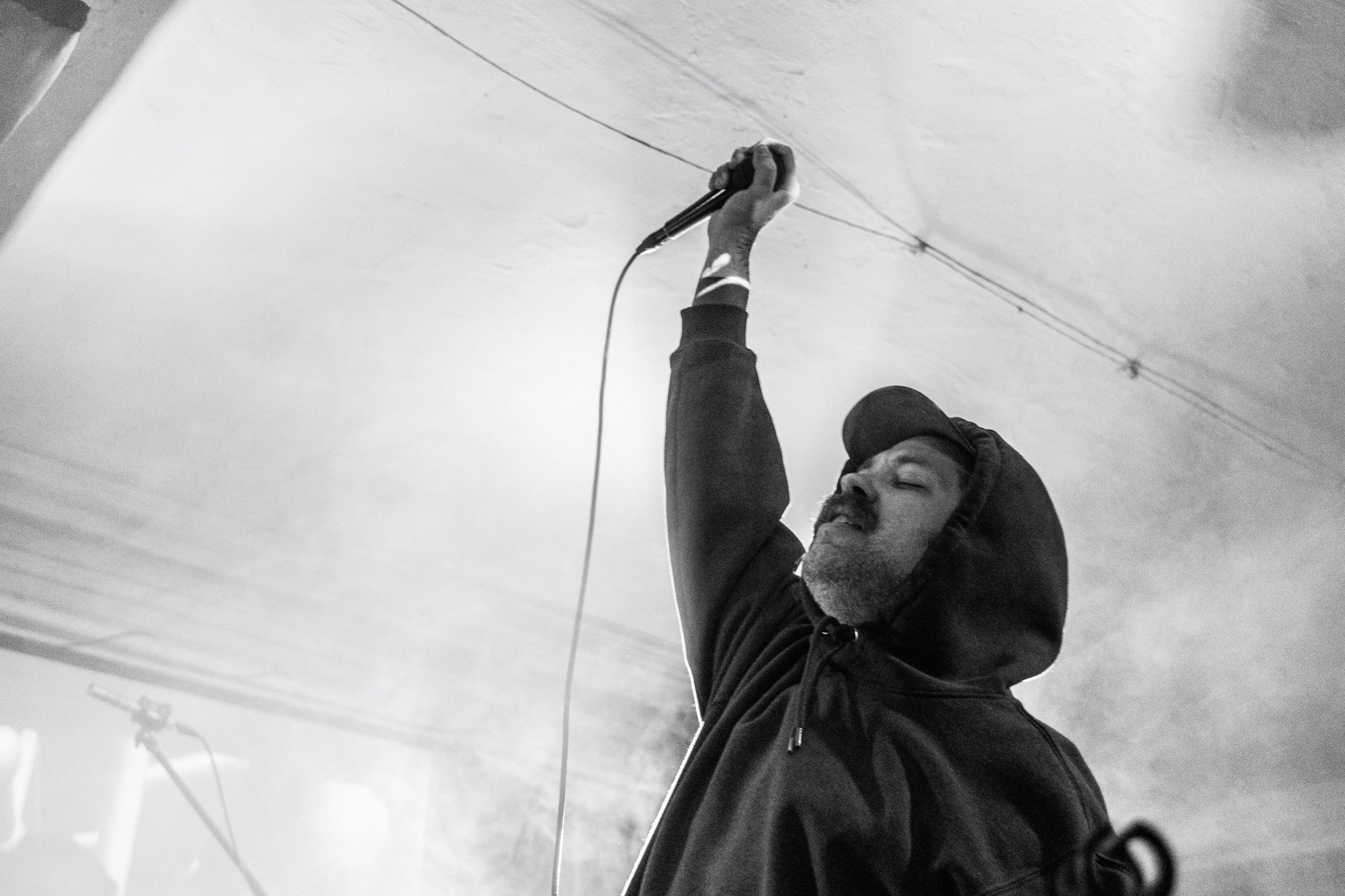 Змееед, Apodemus, 20.12.25, TAGO)))MAGO)))