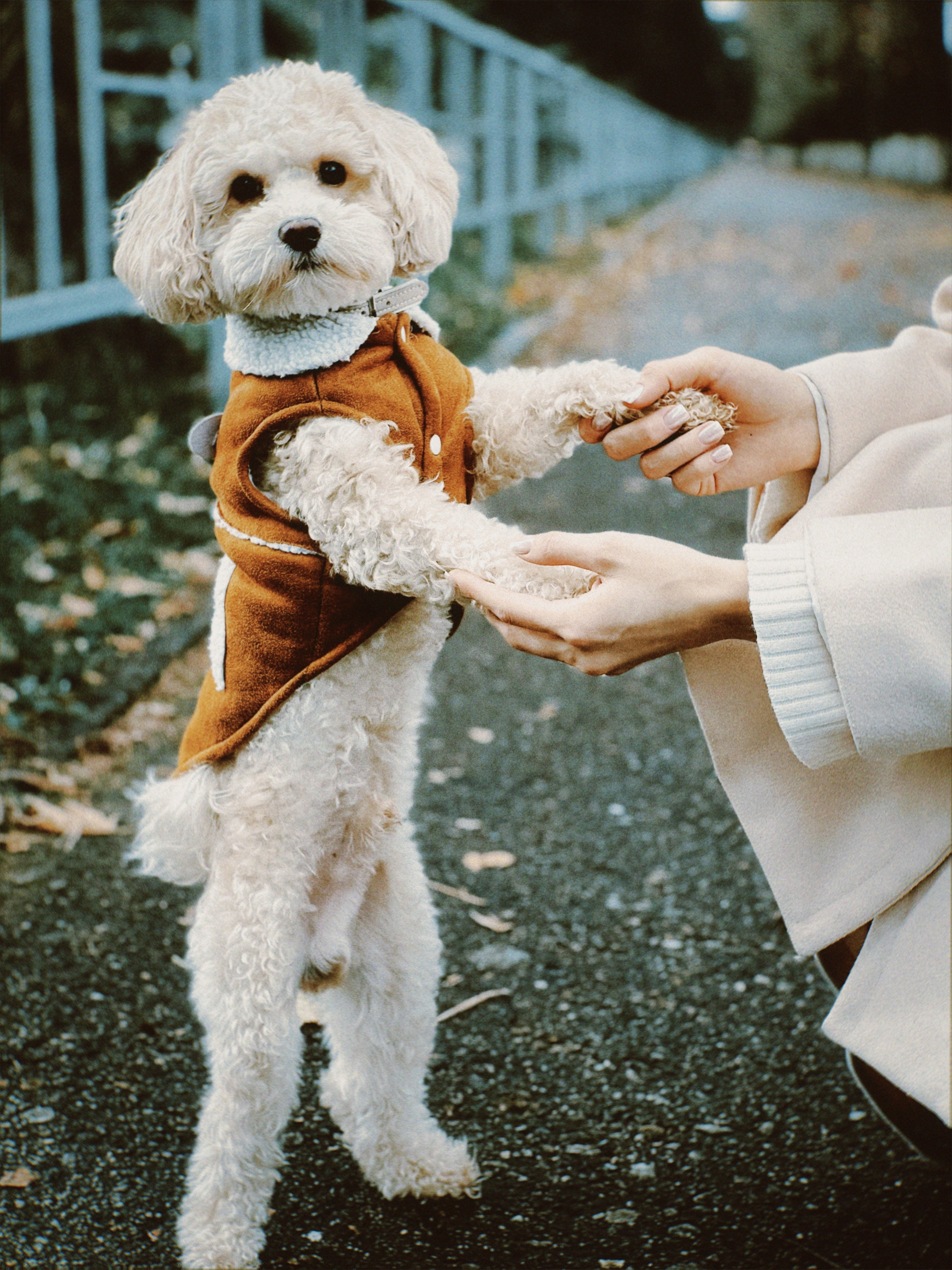 Фото история Персика. Чувственный мобильный фотограф в Казани и Сочи Дьяченко Дарья