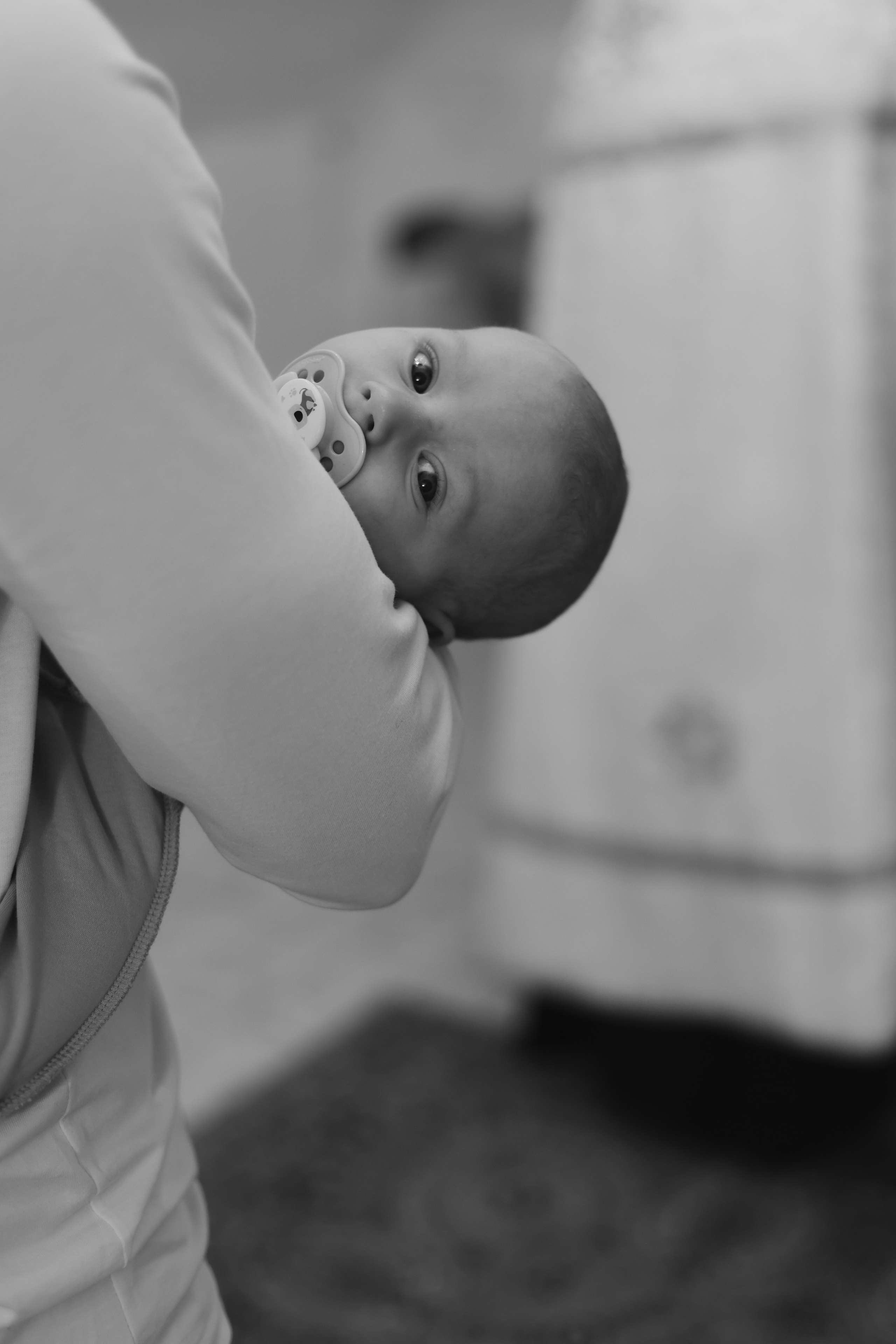 Филипп. Фотограф НатаФото (Наталья Яковенко) Дмитров Москва Питер