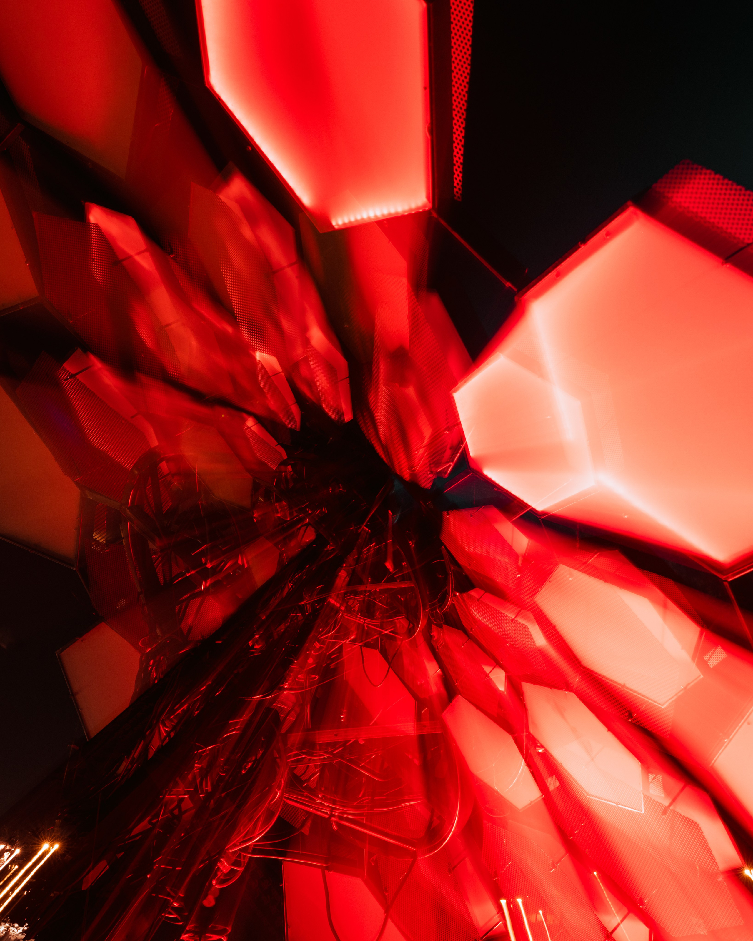 PANTERRA, Cyber Flower. @tomrus: Рустам Шагиморданов — фотограф