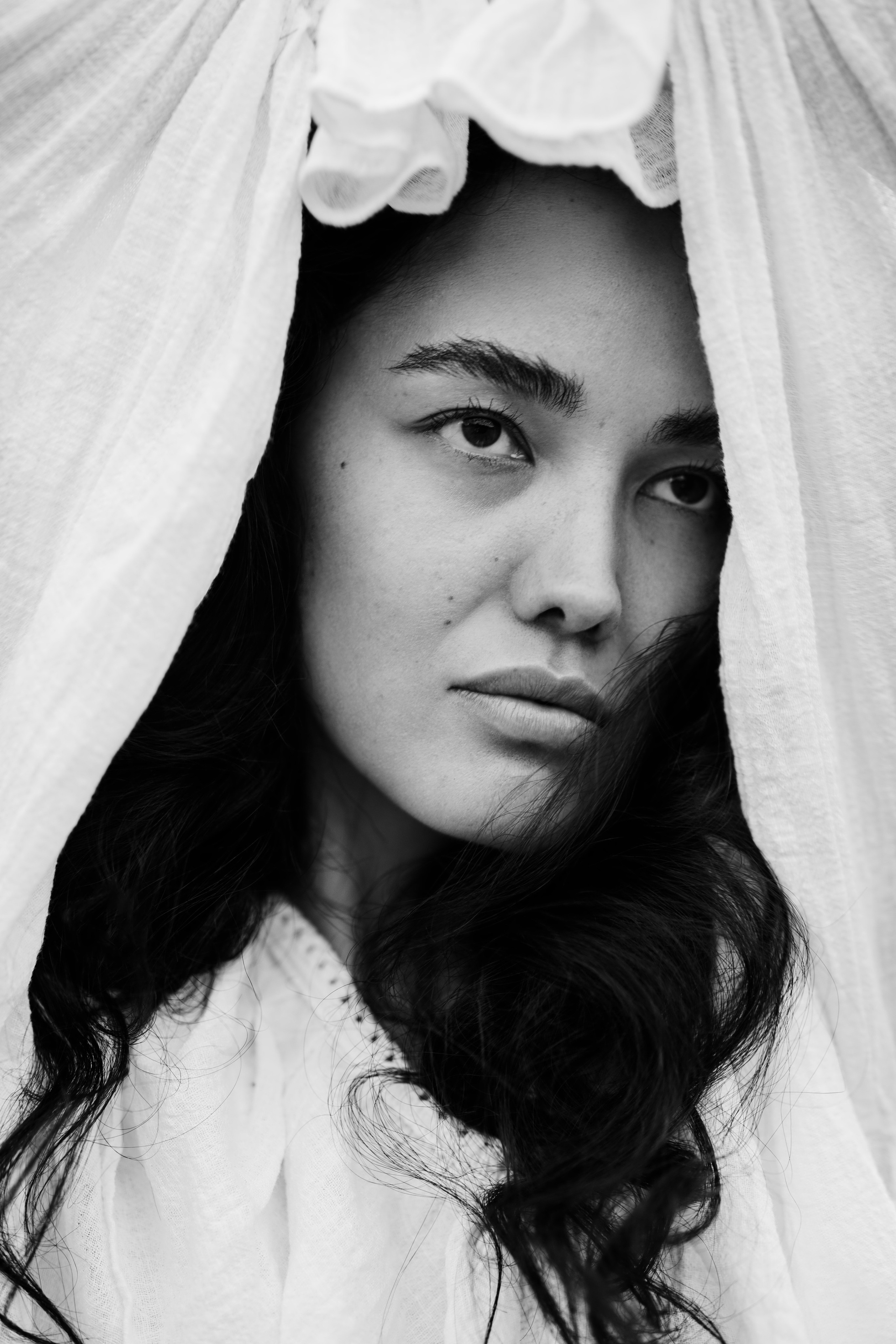 Portfolio. @beingabird.photography