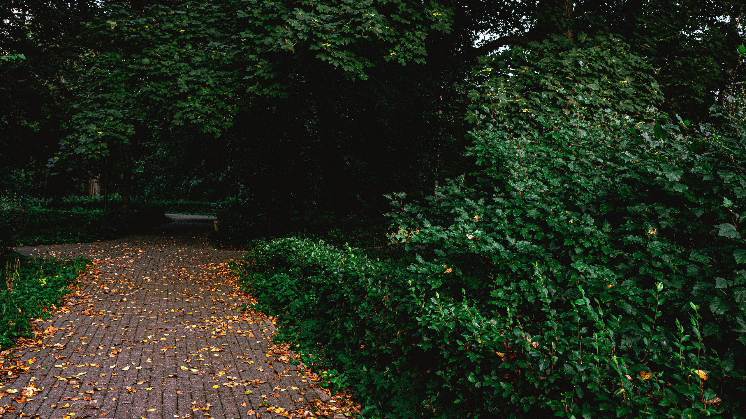 Природа город улица пейзаж урбан стрит urban city ature. •fpsmax• фотограф-ретушер