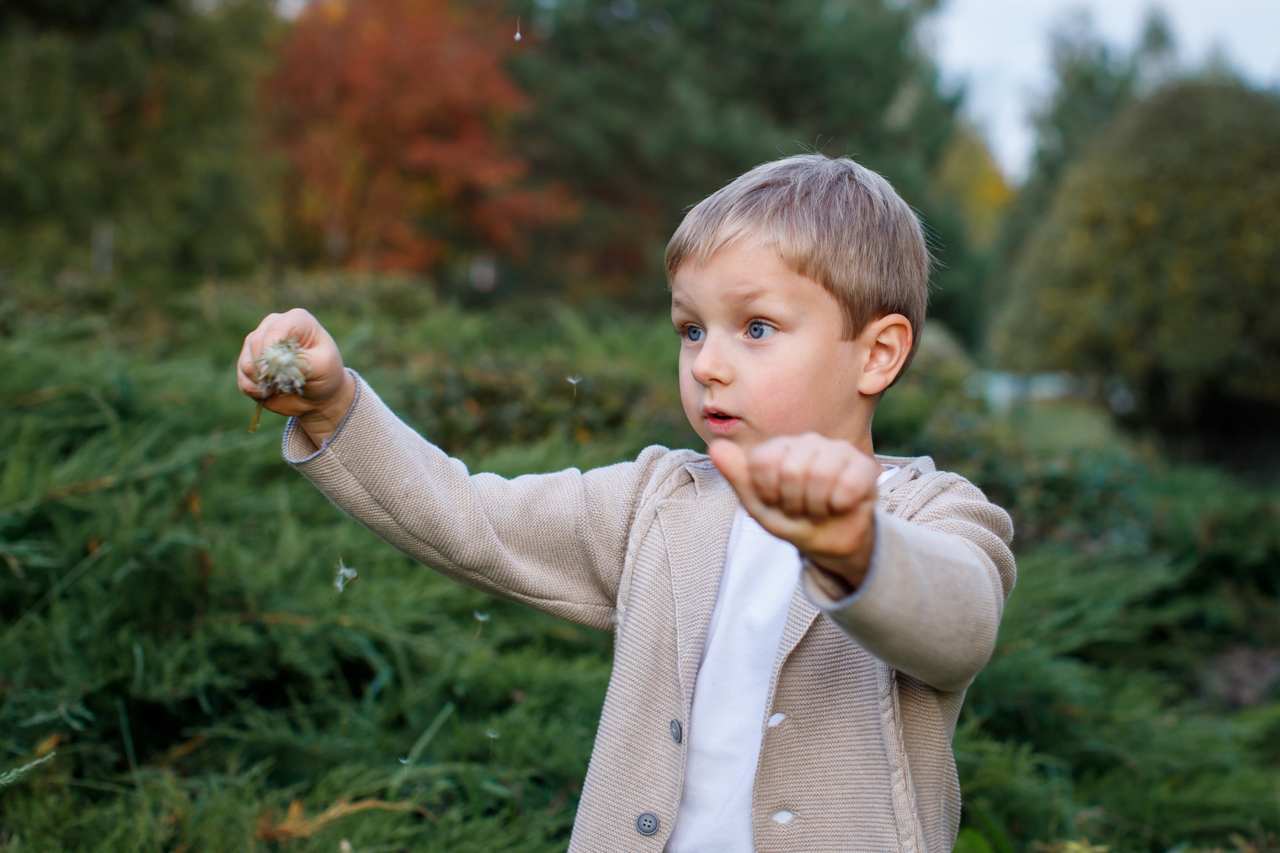 Осень. Детский и семейный фотограф Мария Киселёва. Москва
