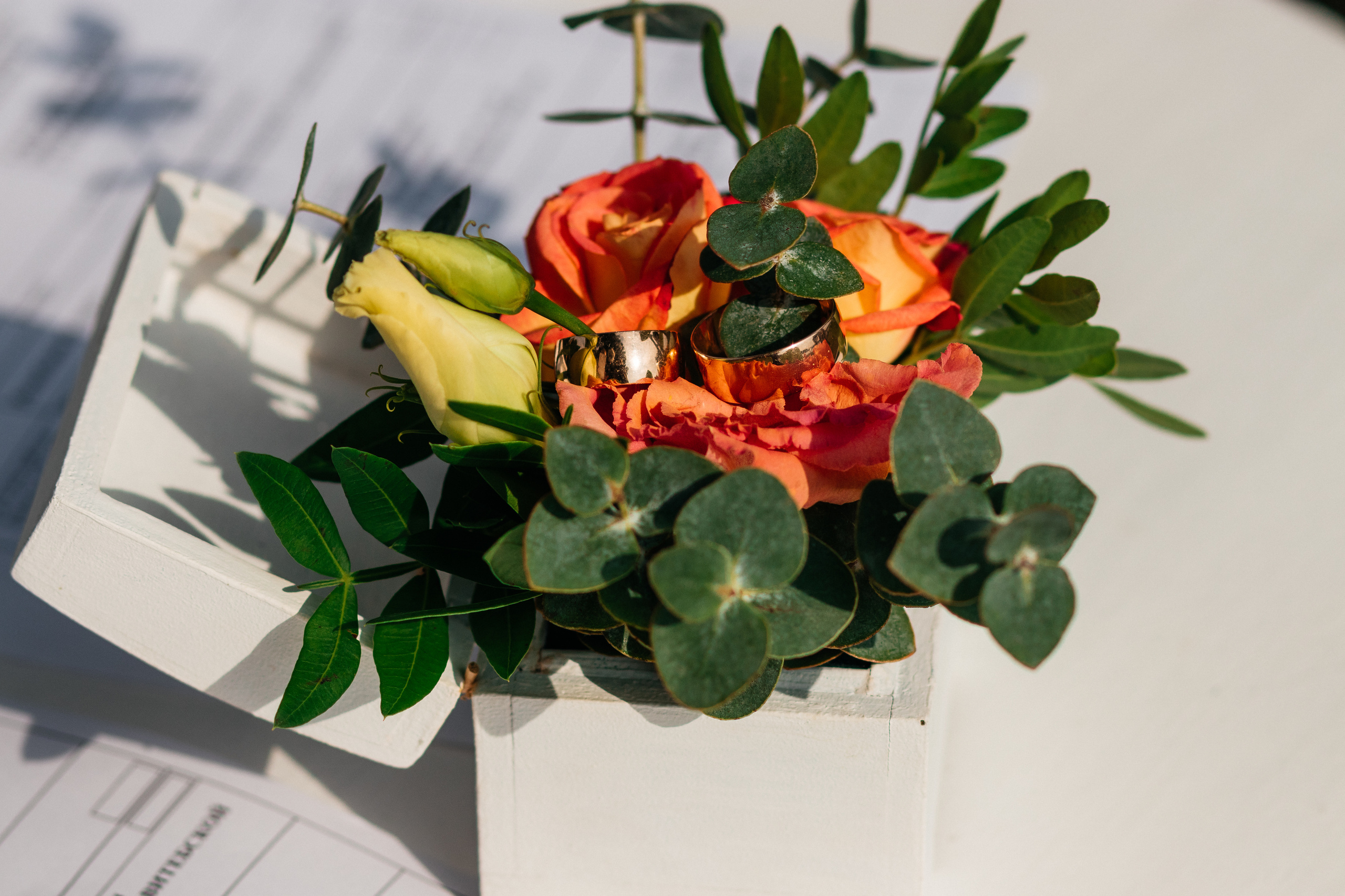 Свадебная фотосессия Софии и Владимира Полоцк Новополоцк Витебск Минск. Свадебный фотограф Елена Ловцевич