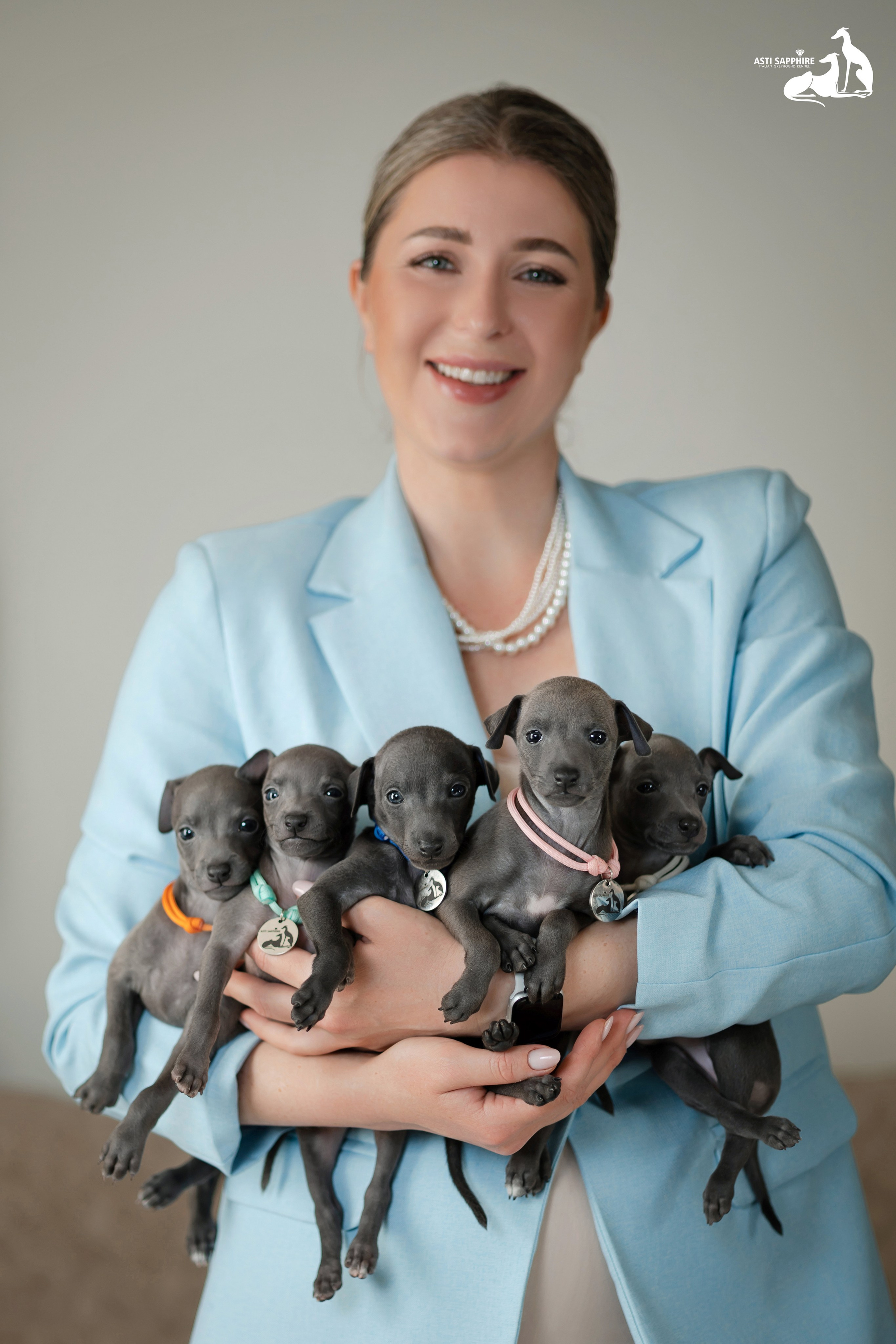 Весенние крошки. Professional Italian Greyhound Kennel RKF/FCI ASTI SAPPHIRE 💎 Sochi|St. Petersburg