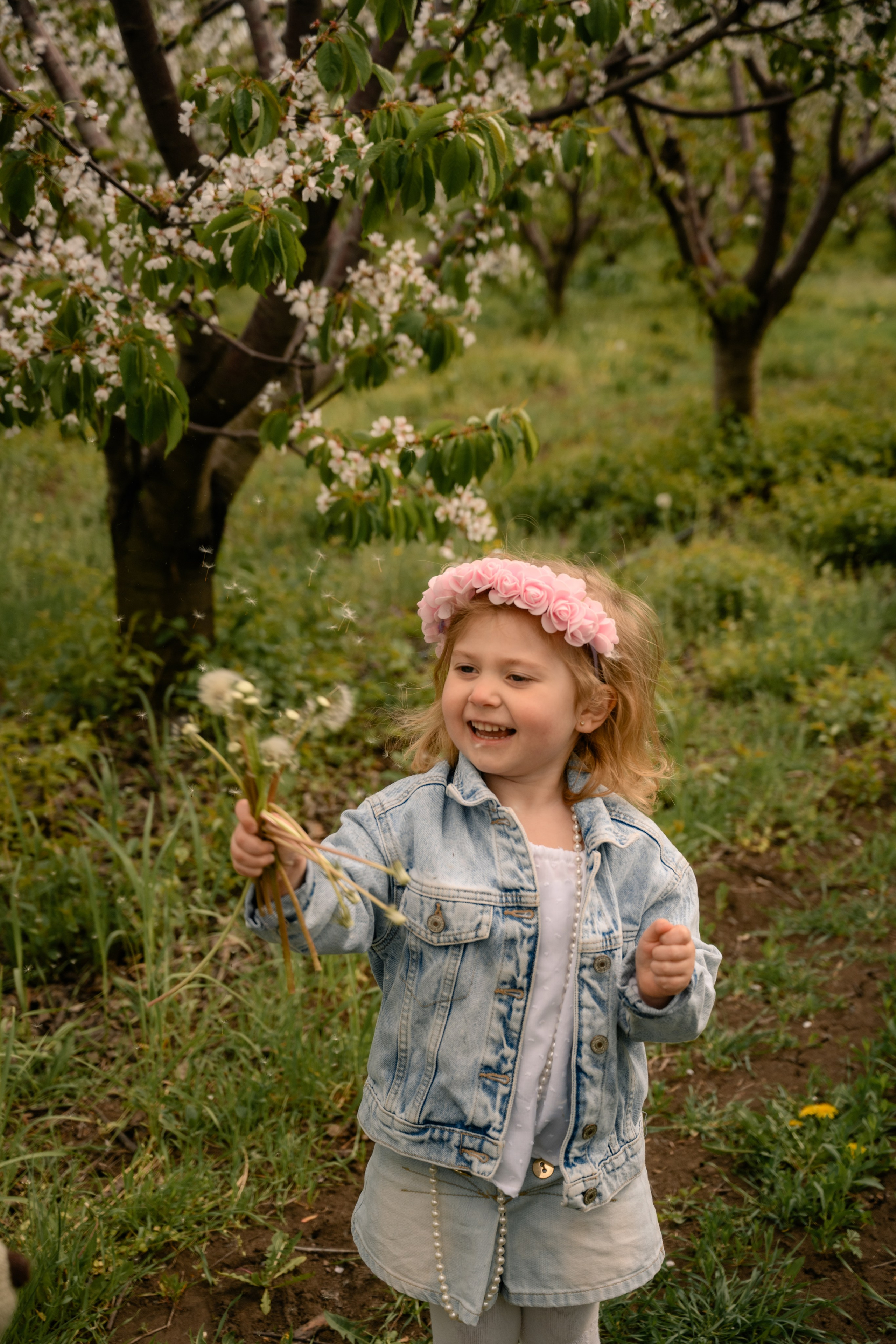 Цветущие сады. Фотограф в Ростове-на-Дону Оксана Филатьева