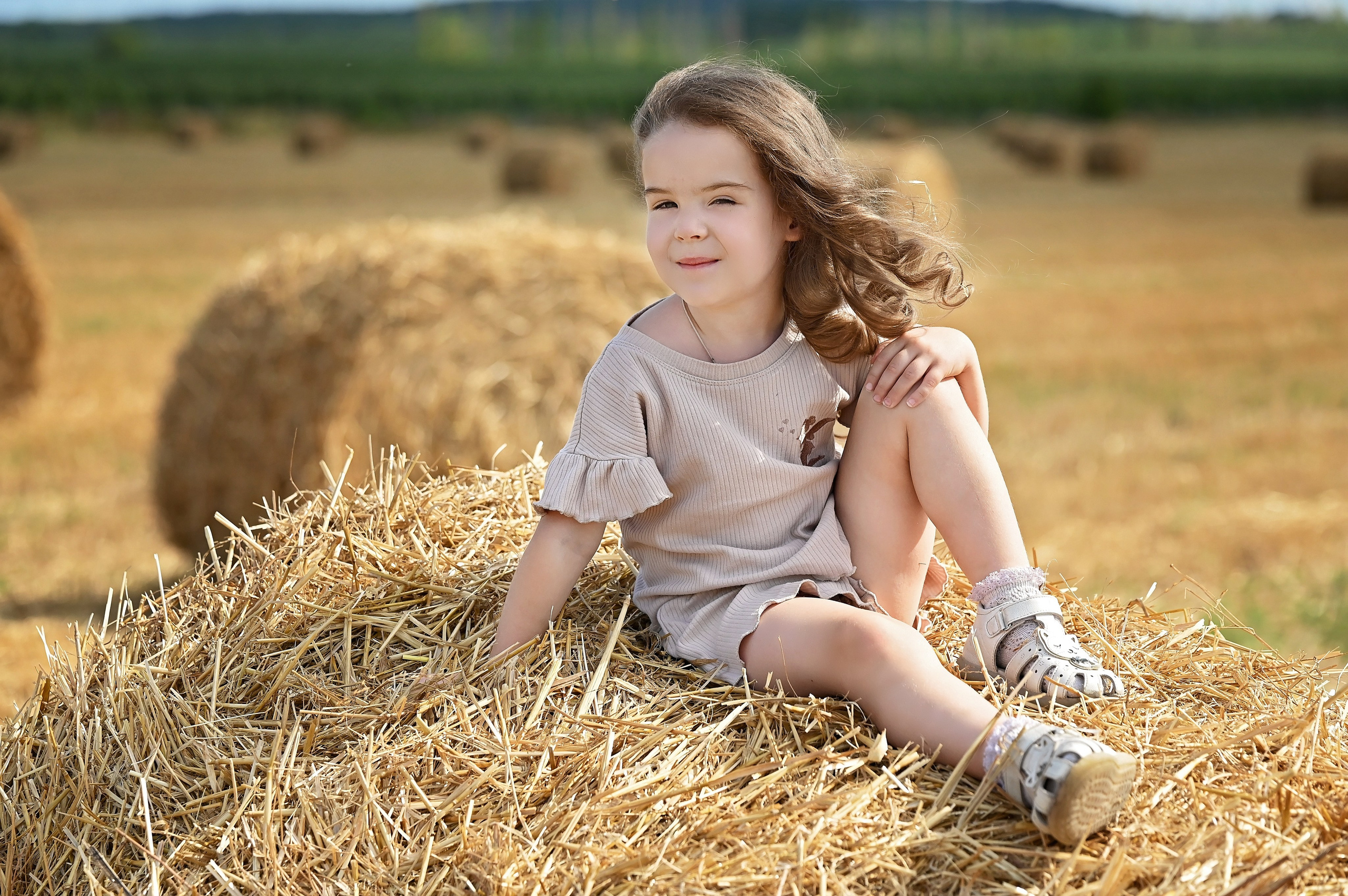 Сено. Главная