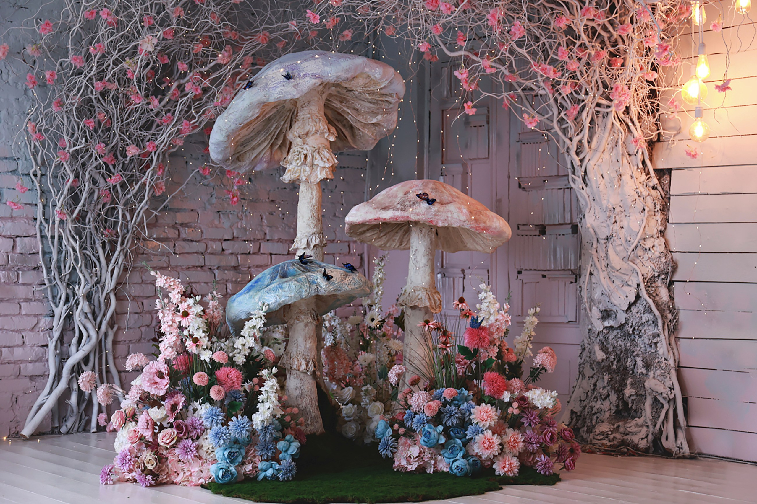 Интерьер фотостудии «Алиса», город Краснодар, Зиповская 5 Б. Семейный и детский фотограф в Краснодаре Анна Трашкова