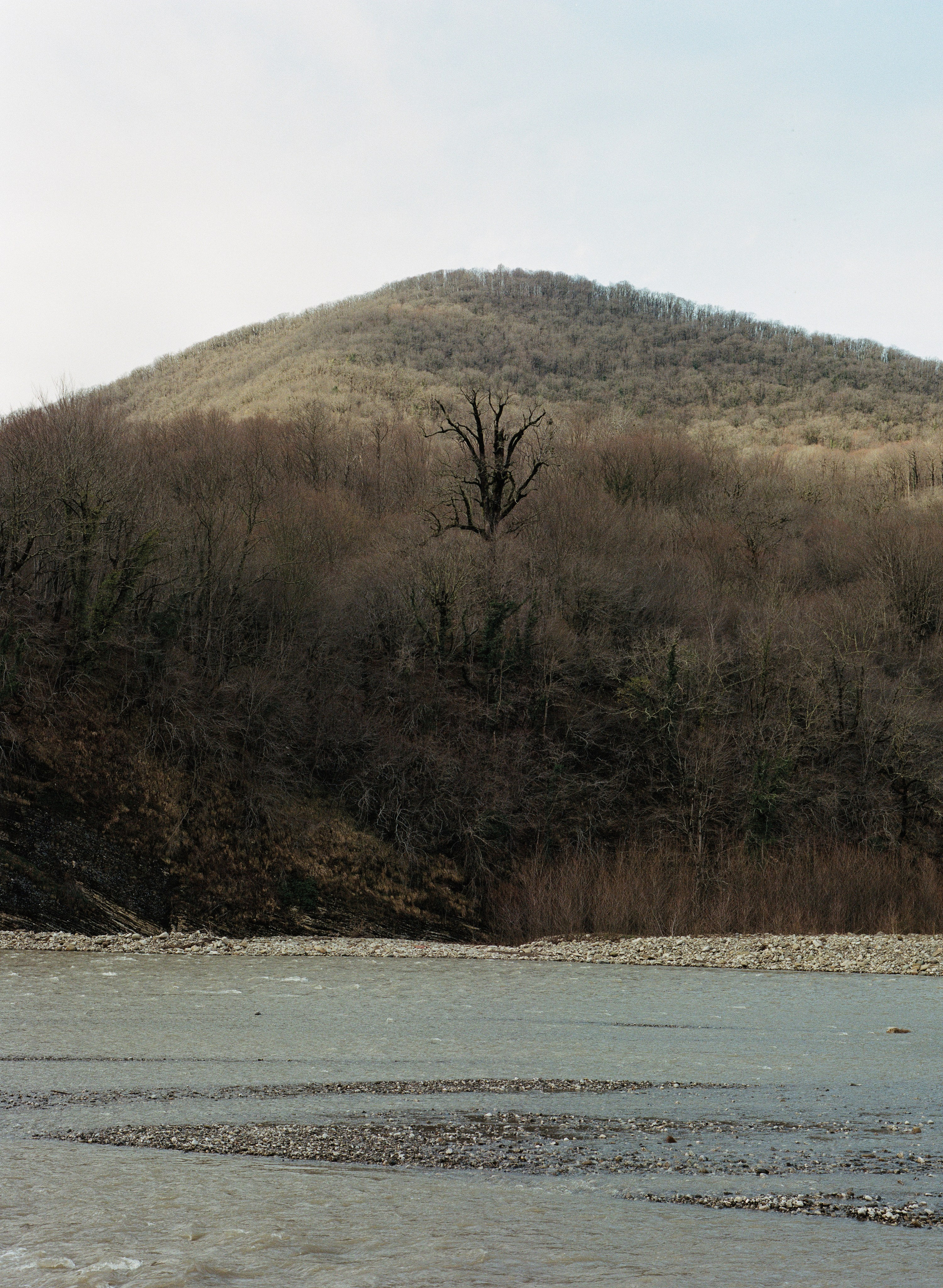 Художественное исследование «Остров, окруженный сушей». HOME