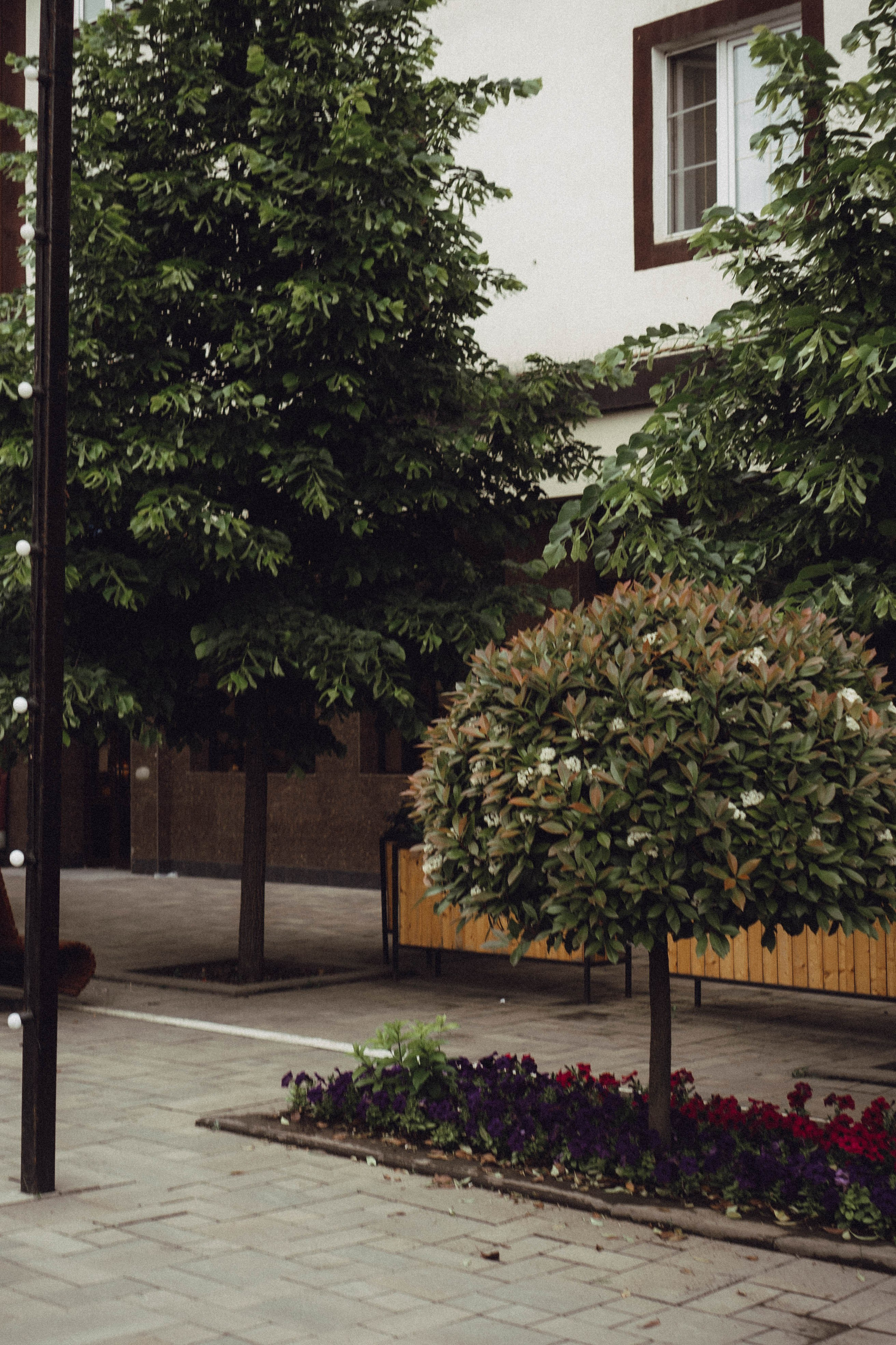 Кавказ. Профессиональный фотограф, Санкт-Петербург — Виктория Богомолова