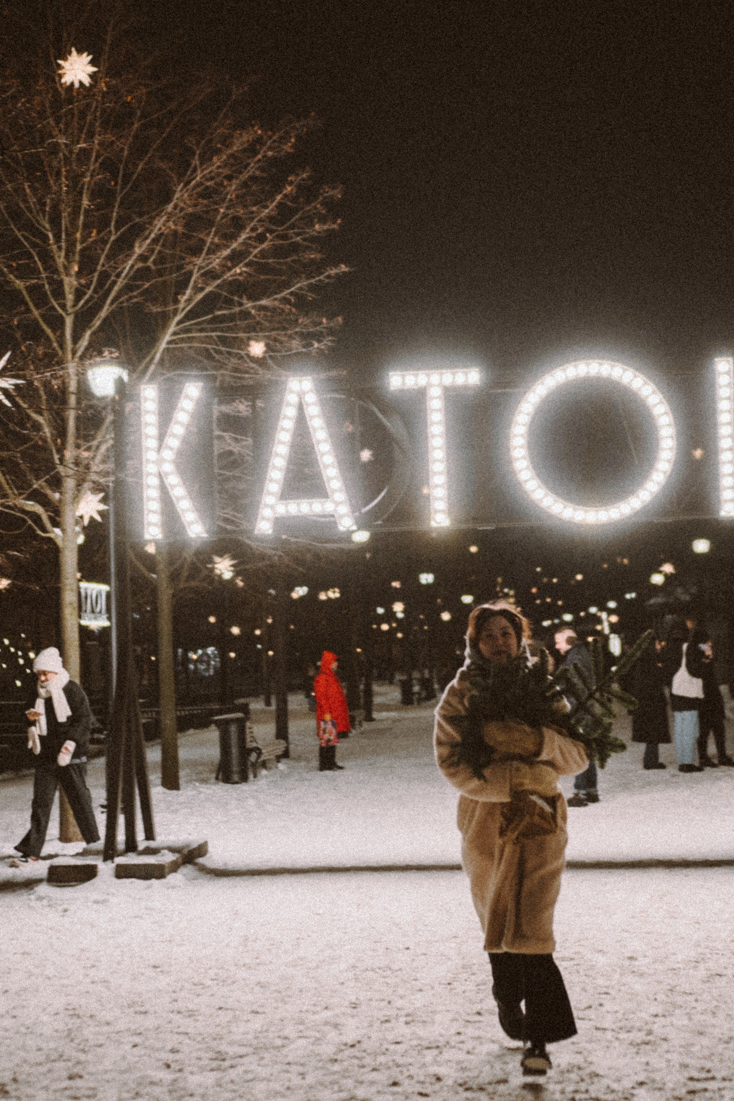 Зимняя сказка в Новой Голандии. Профессиональный фотограф, Санкт-Петербург — Виктория Богомолова