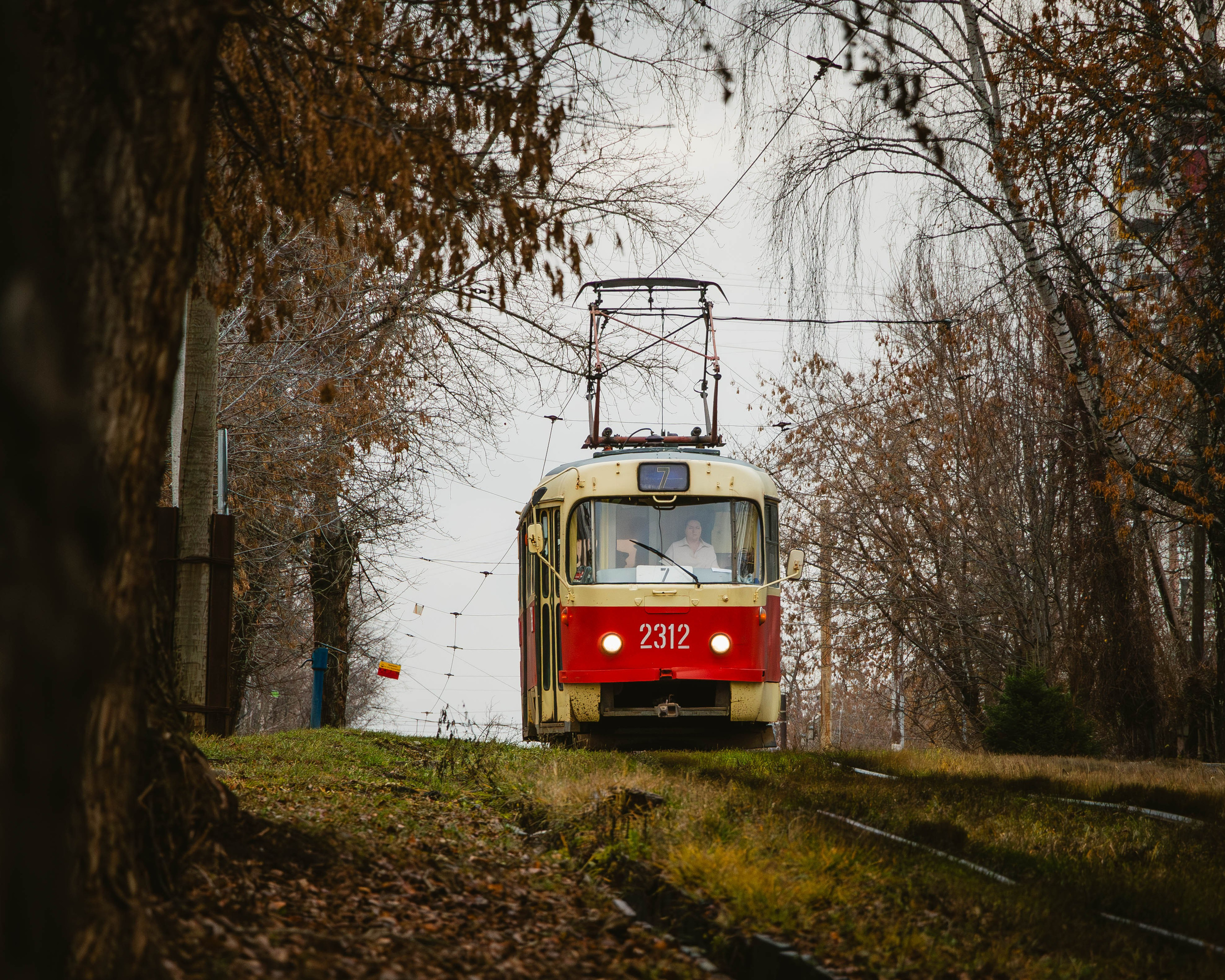 Трамваи. Олег Романов. Мастер фото по спорту