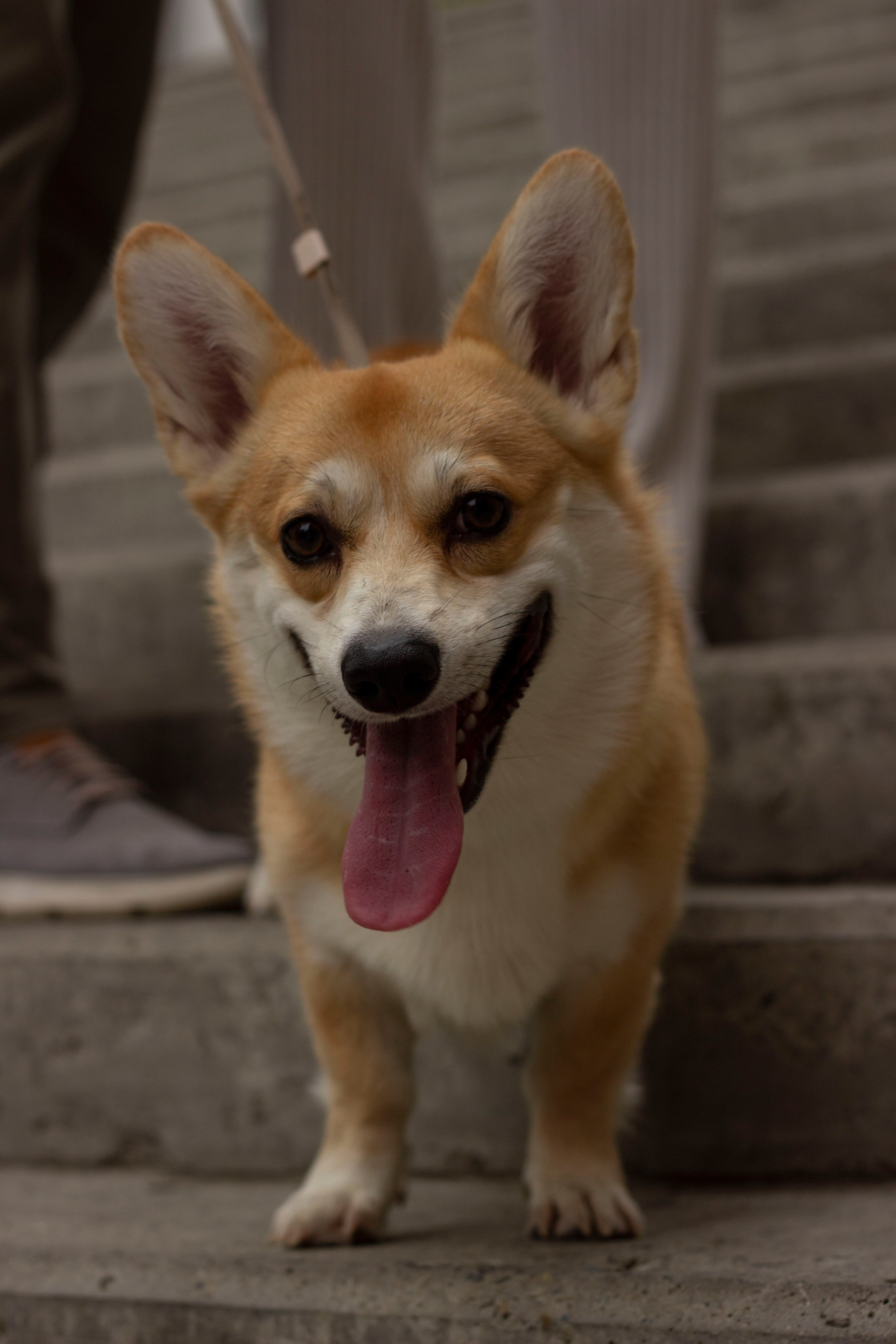 АНАТОЛИЙ И ВИКТОРИЯ. Женский фотограф в Новосибирске
