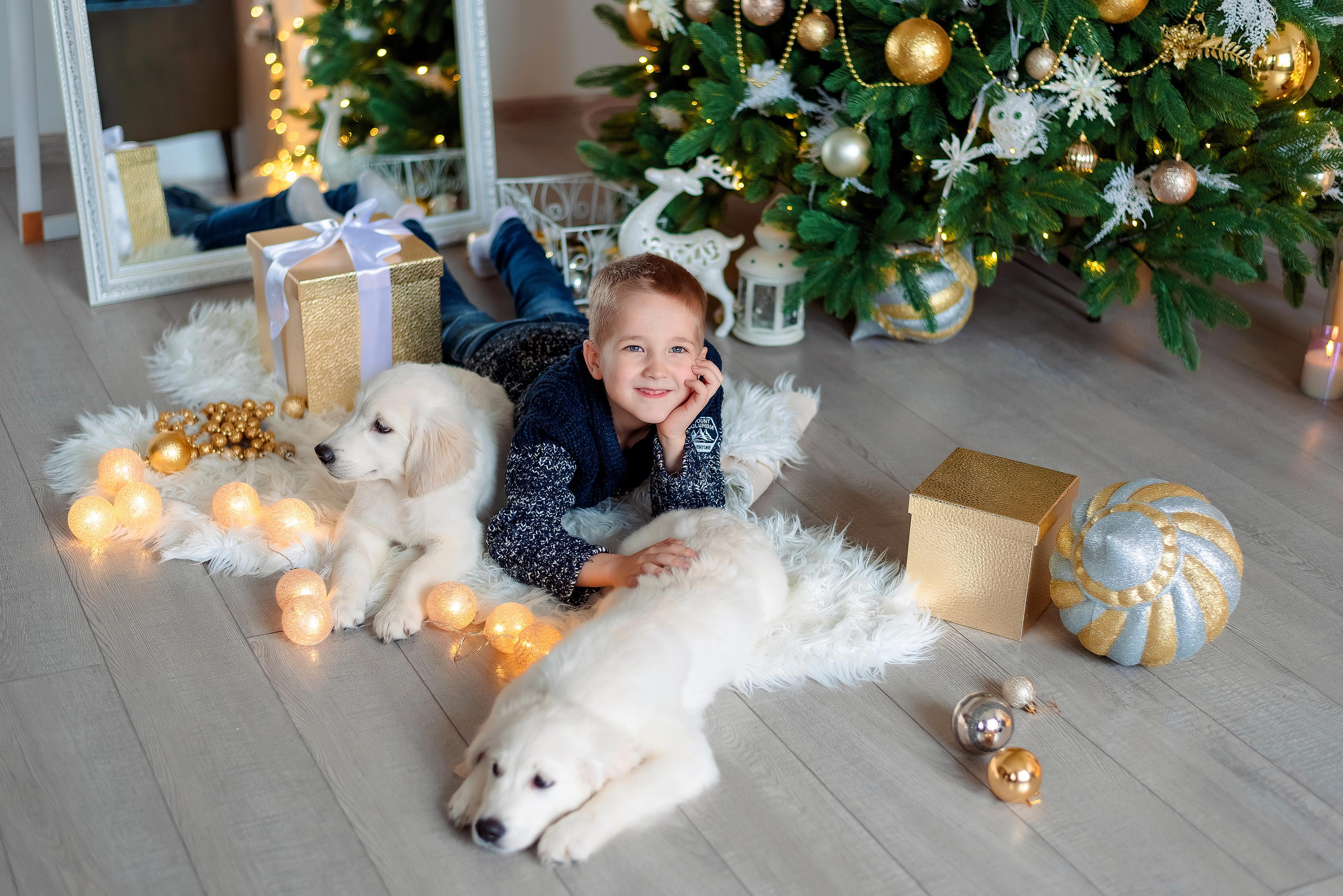 Новогодние съемки. Фотограф г. Пенза — Светлана Зойкина