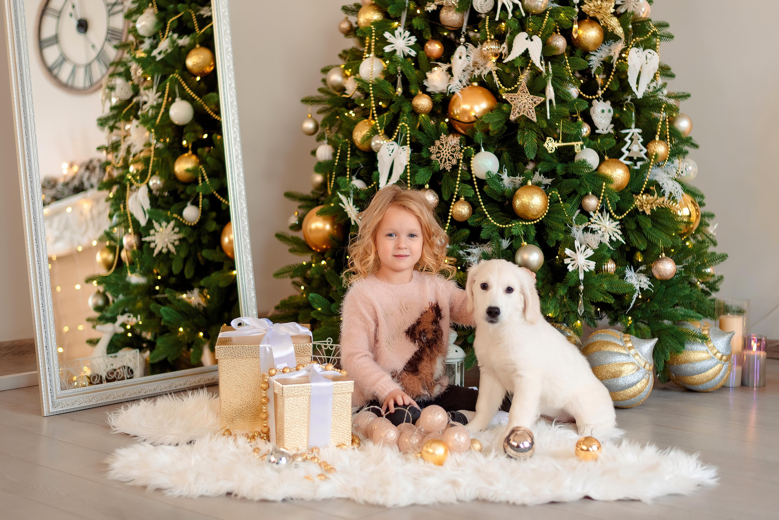 Новогодние съемки. Фотограф г. Пенза — Светлана Зойкина