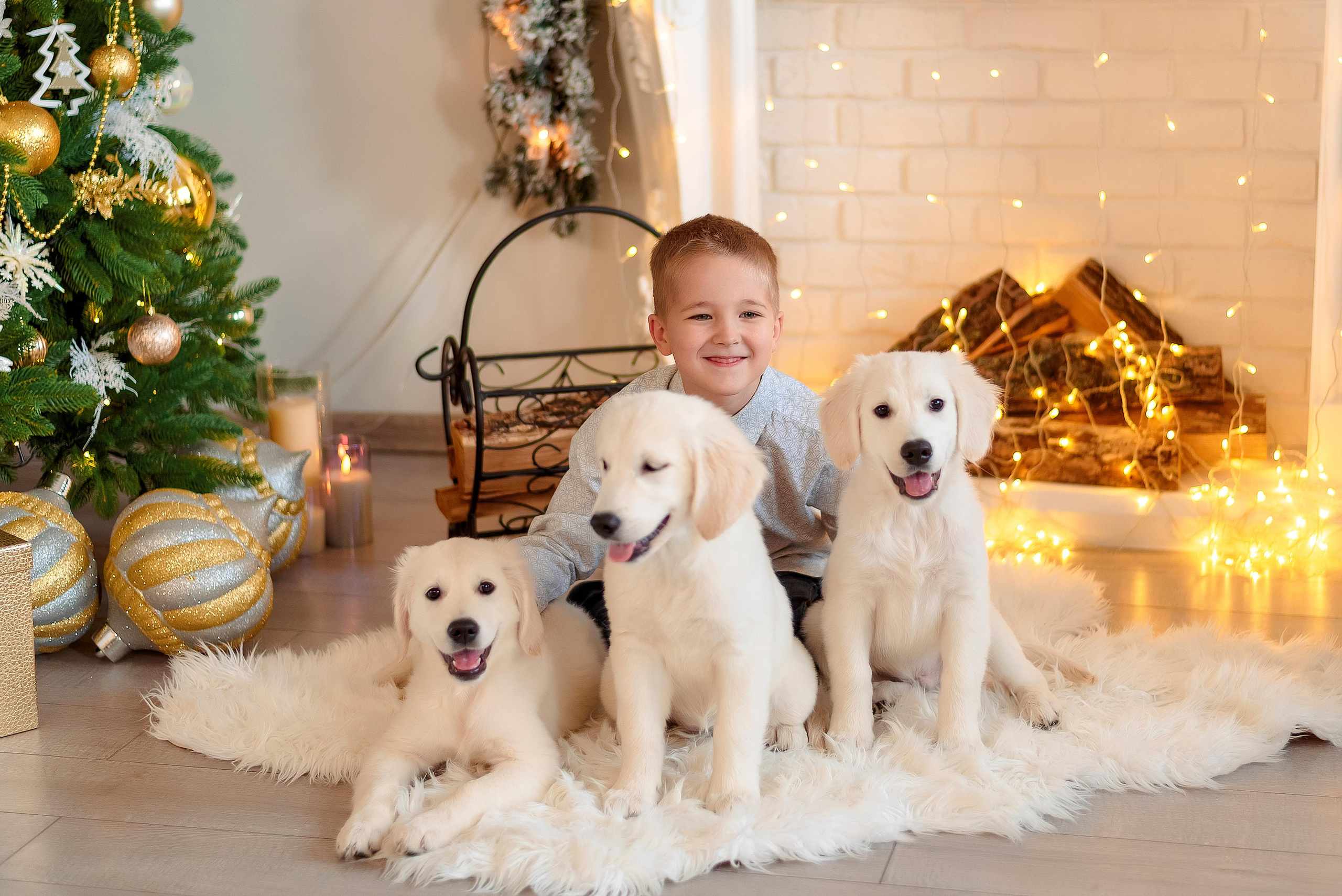 Новогодние съемки. Фотограф г. Пенза — Светлана Зойкина