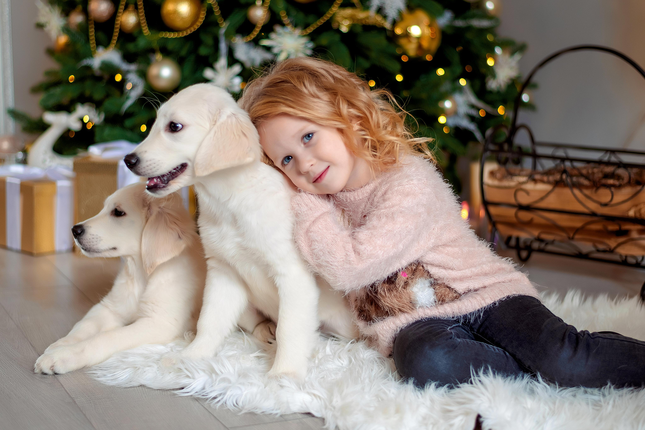 Новогодние съемки. Фотограф г. Пенза — Светлана Зойкина