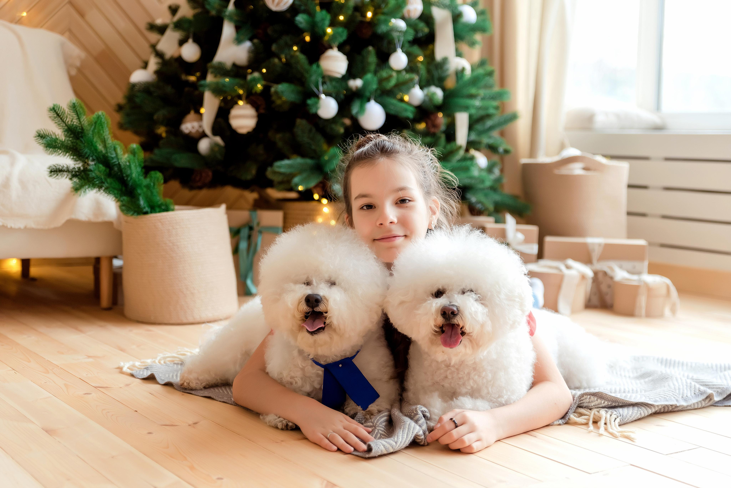 Новогодние съемки. Фотограф г. Пенза — Светлана Зойкина