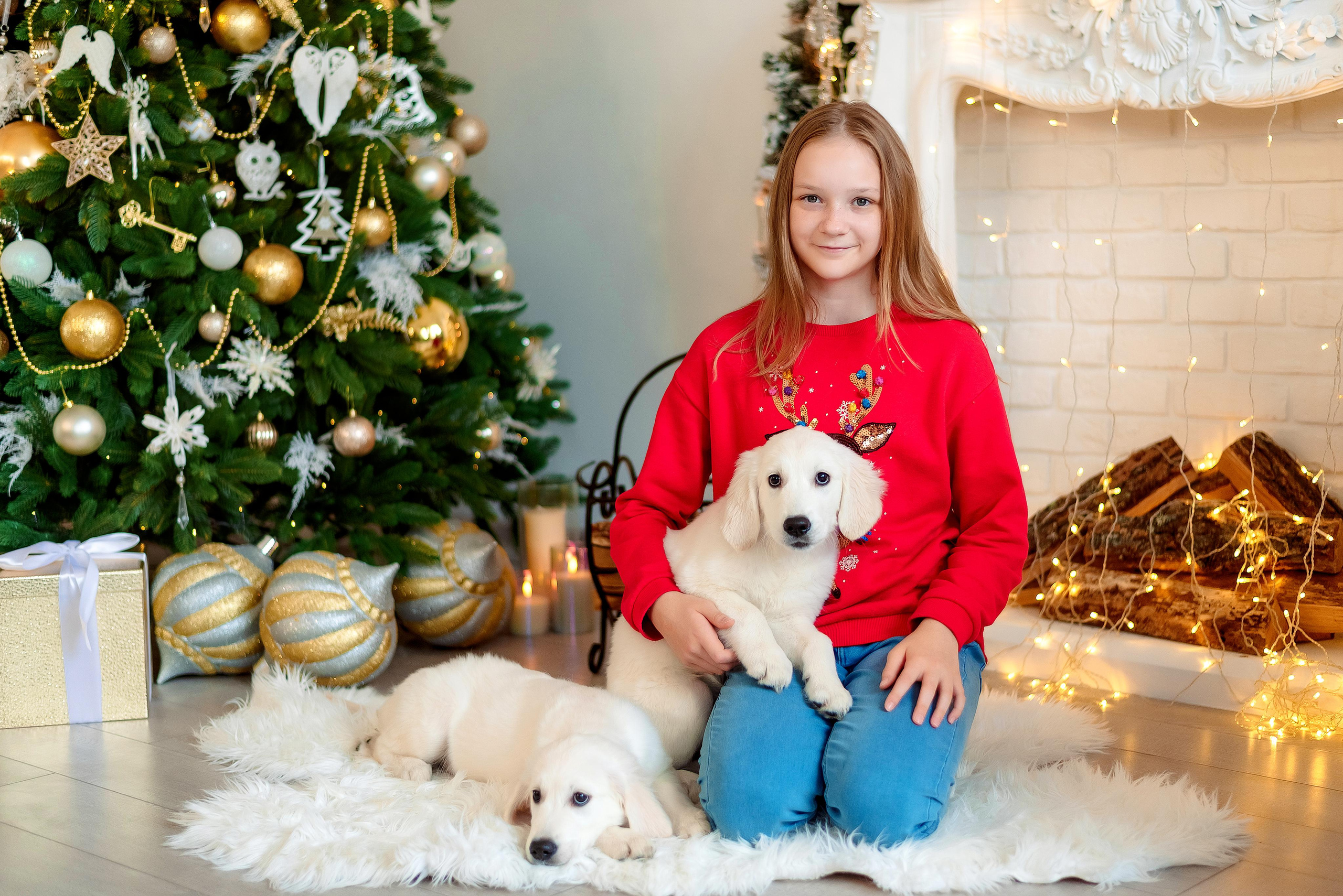 Новогодние съемки. Фотограф г. Пенза — Светлана Зойкина