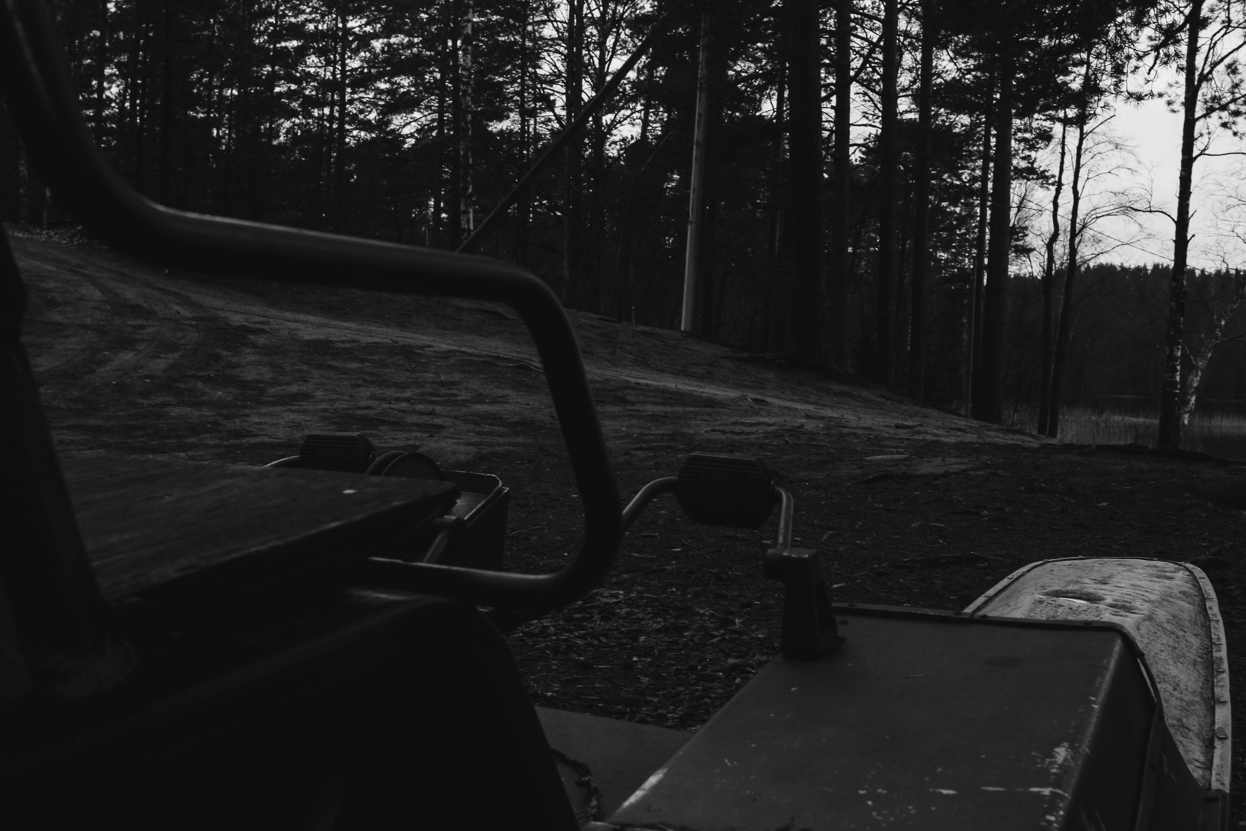 Лес и абстрактность. Портретный фотограф DanilNabody