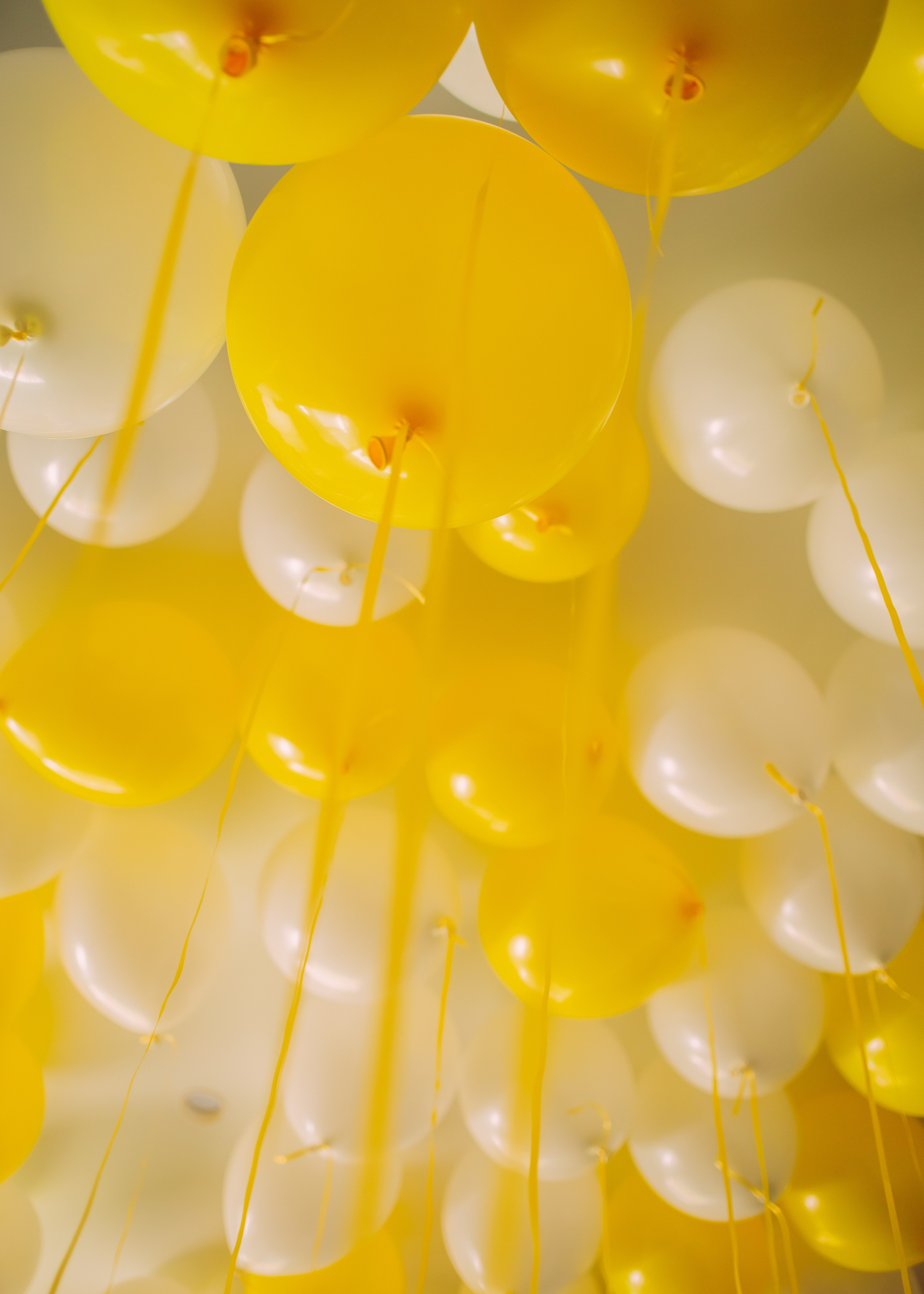 Артем и Ника. Фотограф Зеленоград, Москва