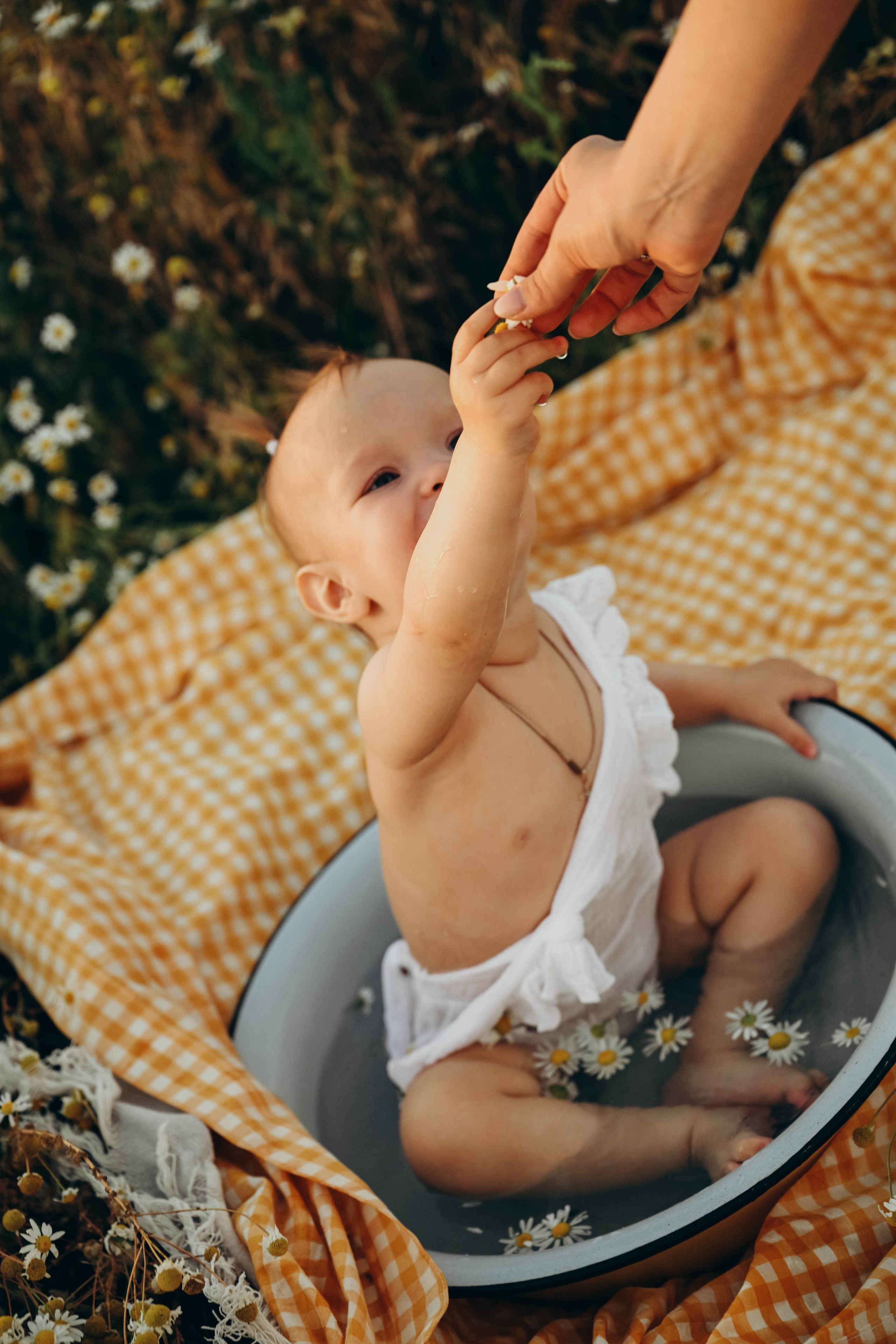 Ромашковое поле. Семейный фотограф в Москве Люберцах Ирина Вронская