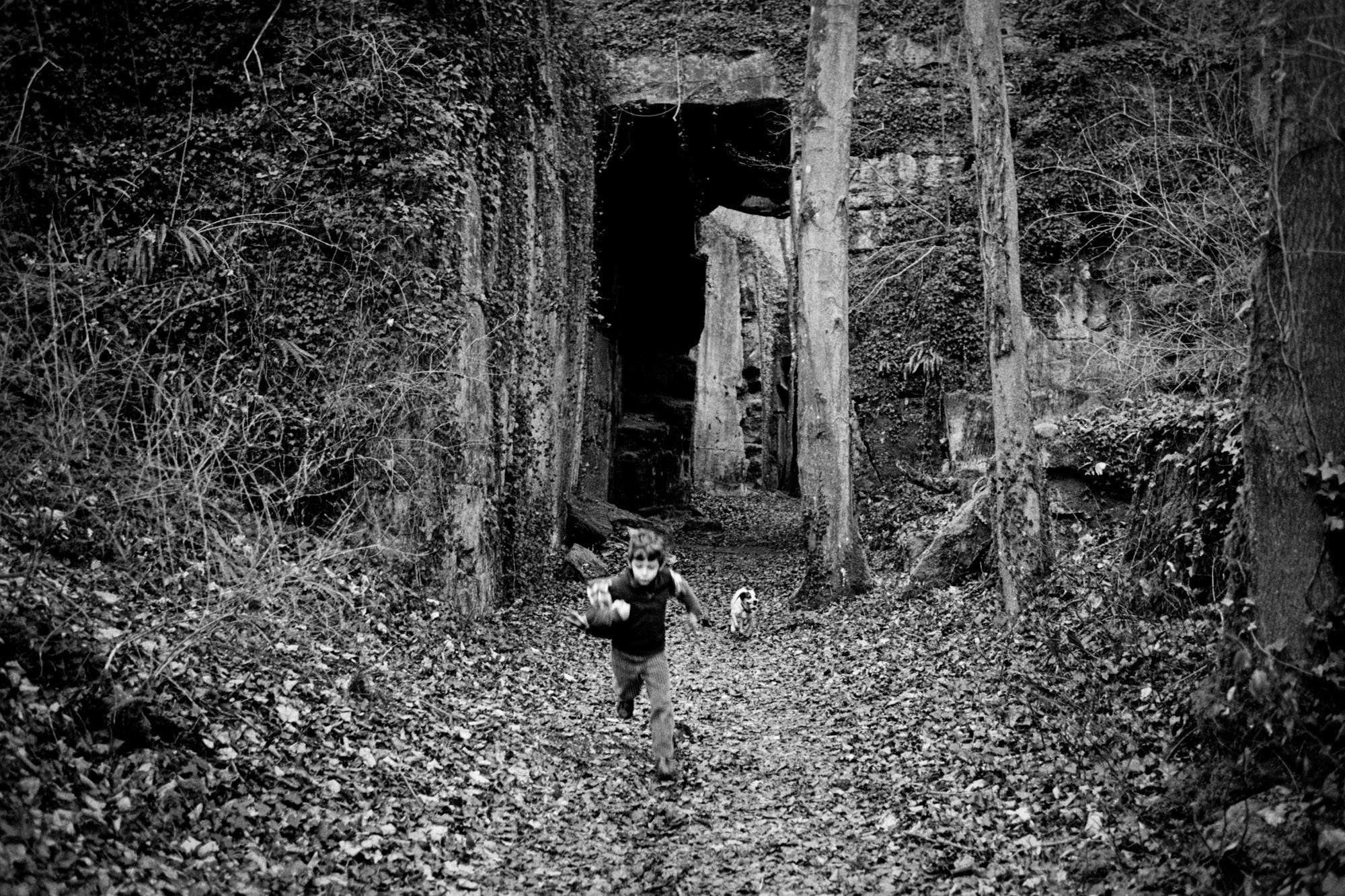 Memories of France. Документальный фотограф Алексей Мякишев, Москва