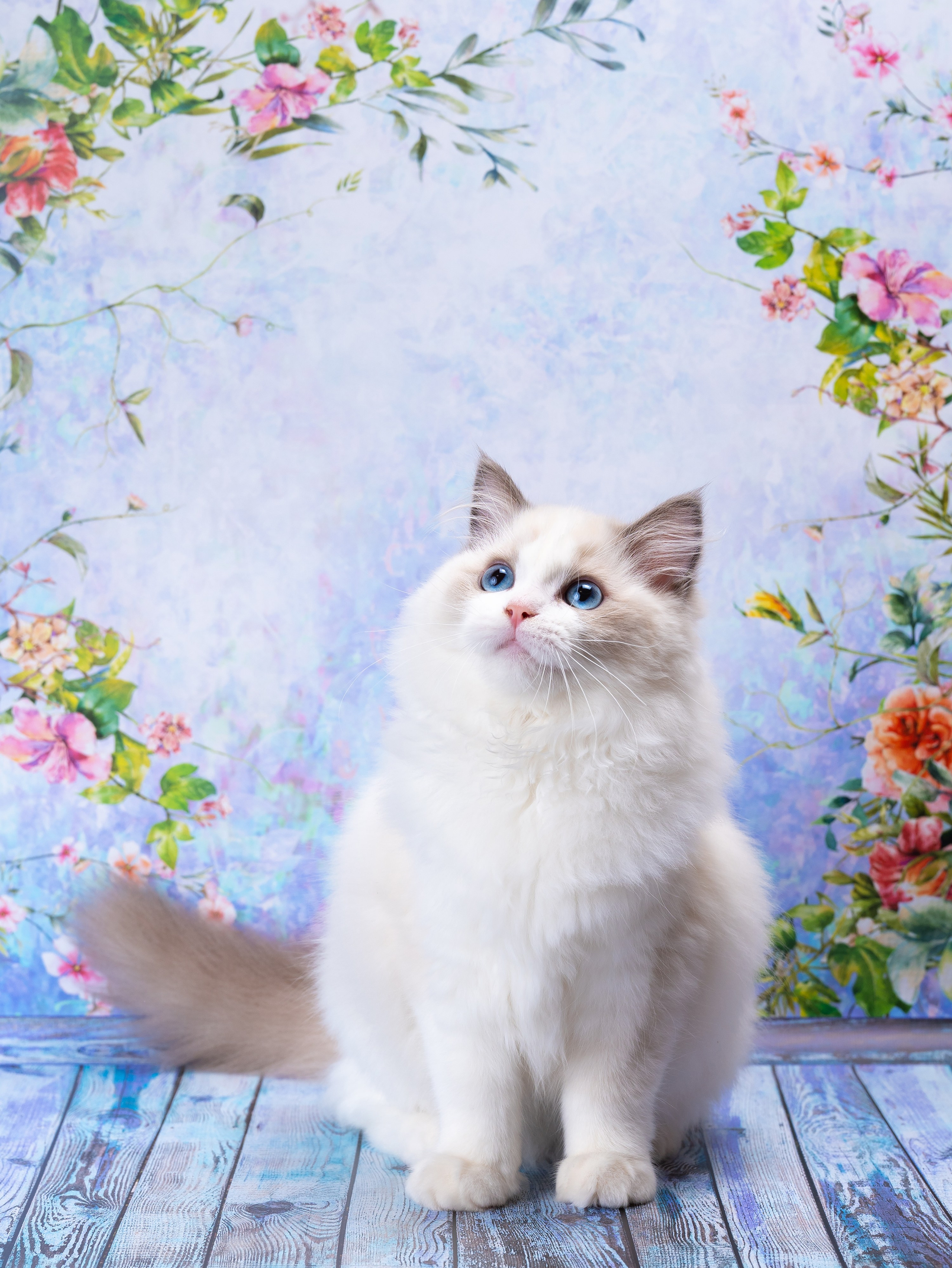 Фуд, предметный и фотограф анималист в Нижнем Новгороде Иванов Максим