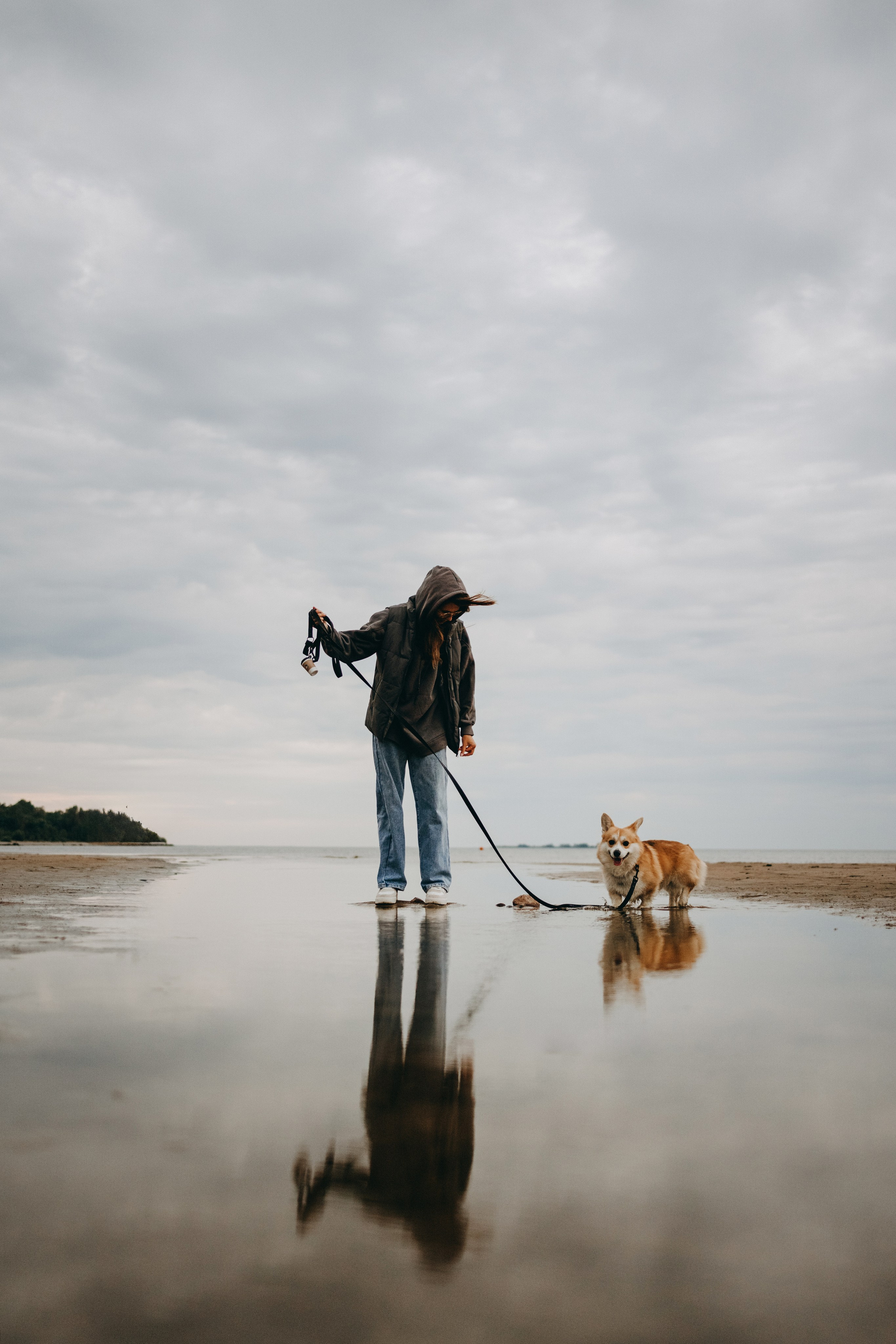 Лиза и Бакс. Фотограф — Анималист | Санкт-Петербург