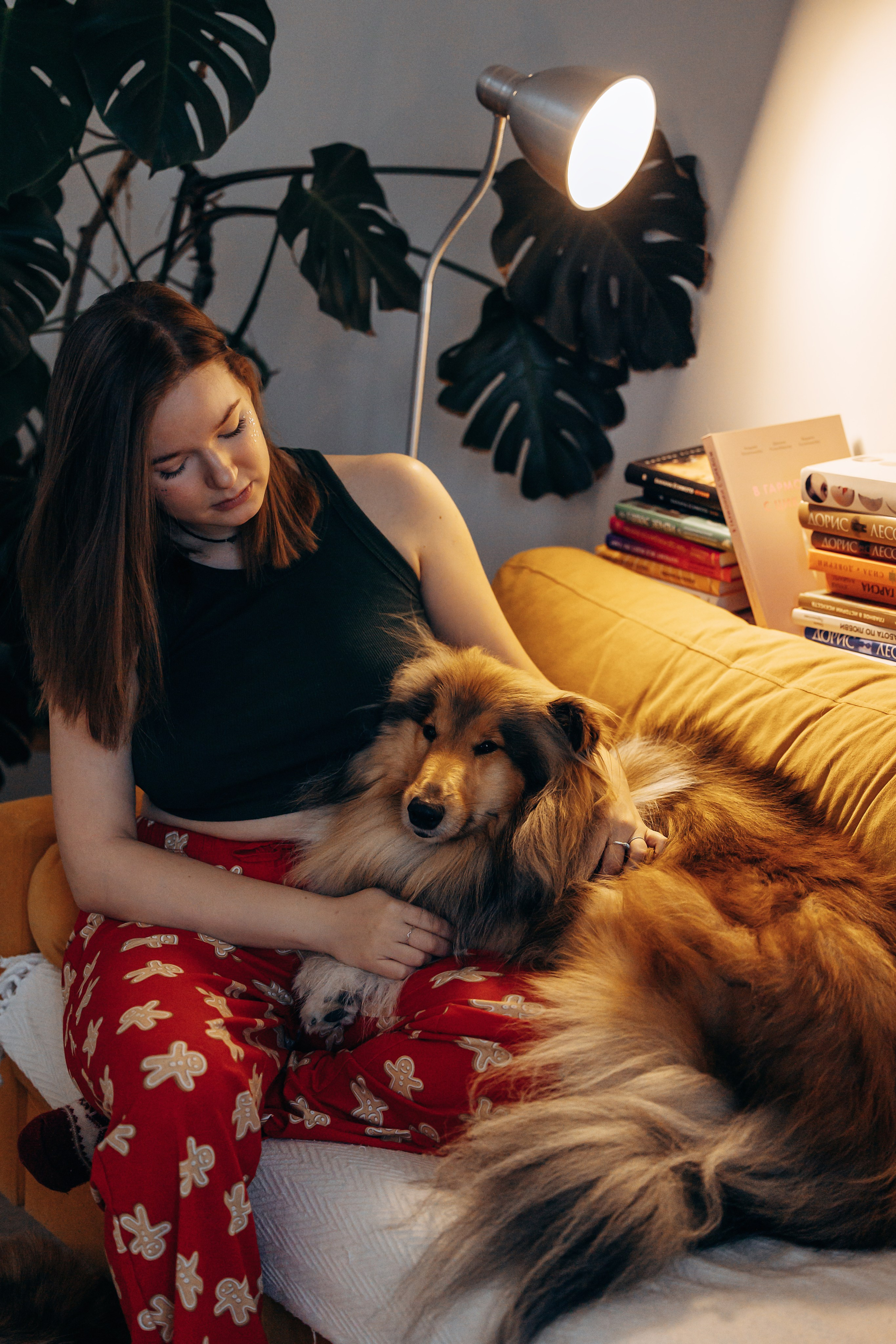 Юлиана, Элли и Райан. YULA KOLESOVA | Фотограф — Анималист | Художник | Тюмень