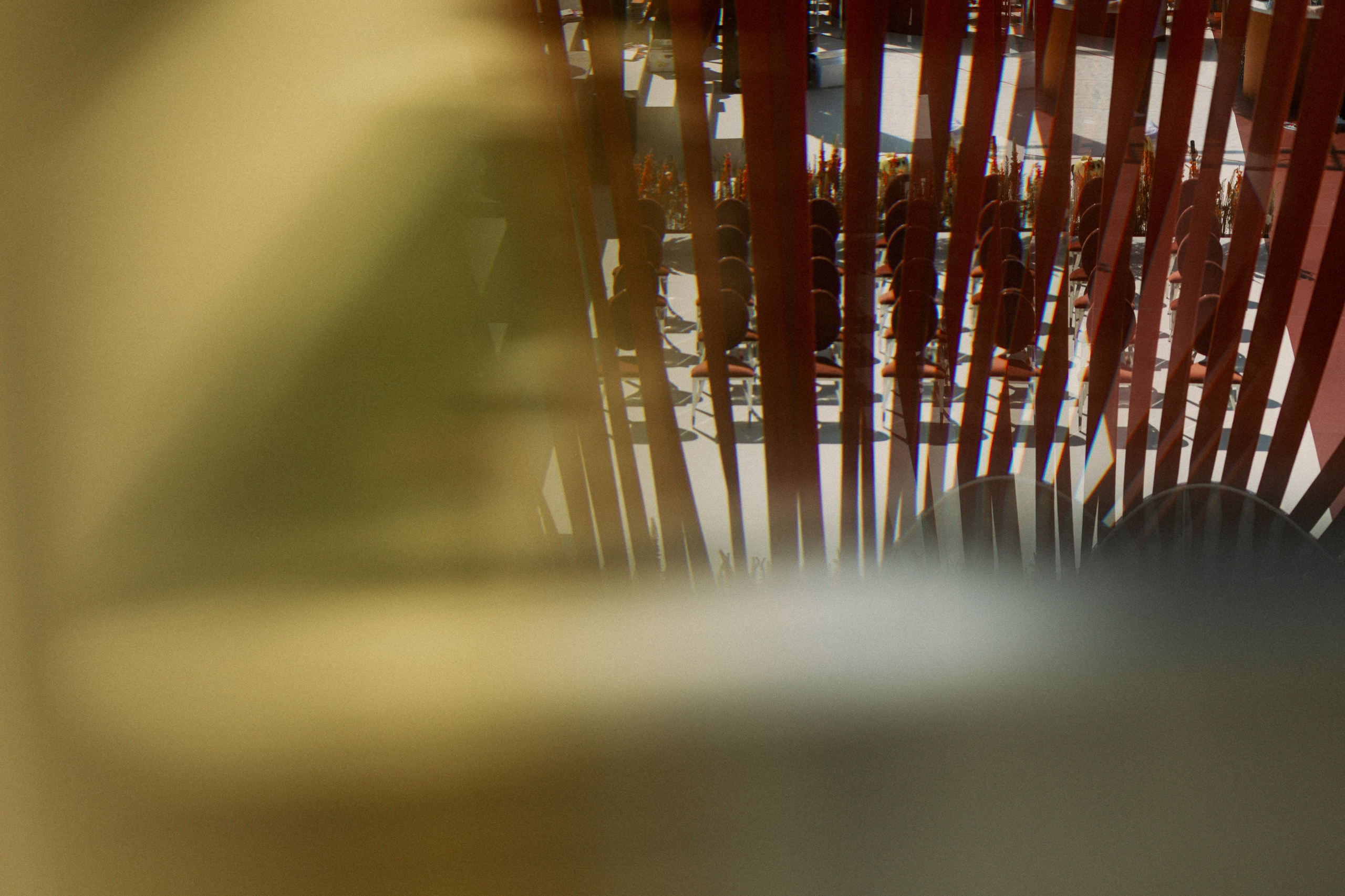 Рождение Венеры. Фотограф Serj Ganso