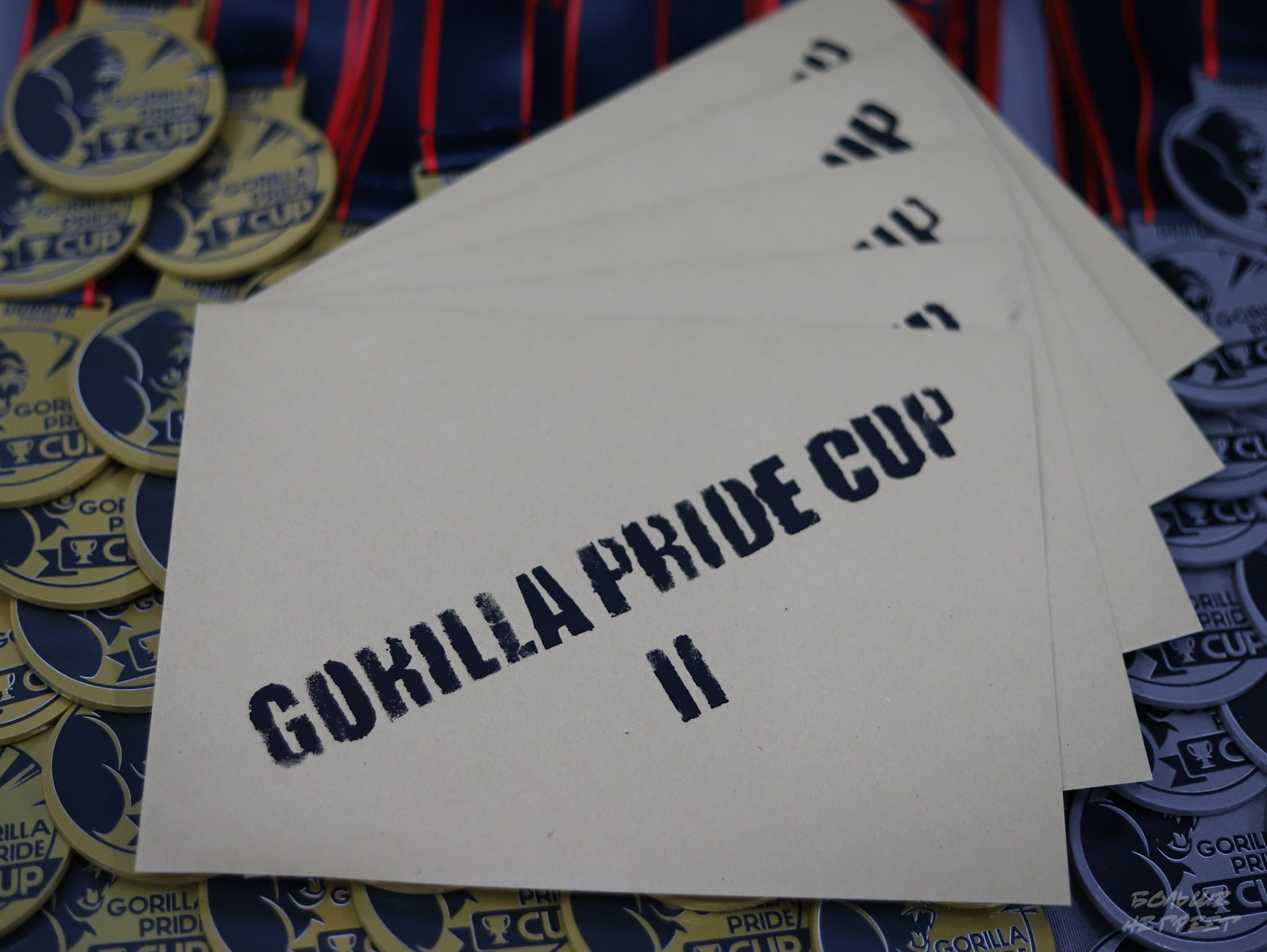 GORILLA PRIDE CUP. Больше не греет