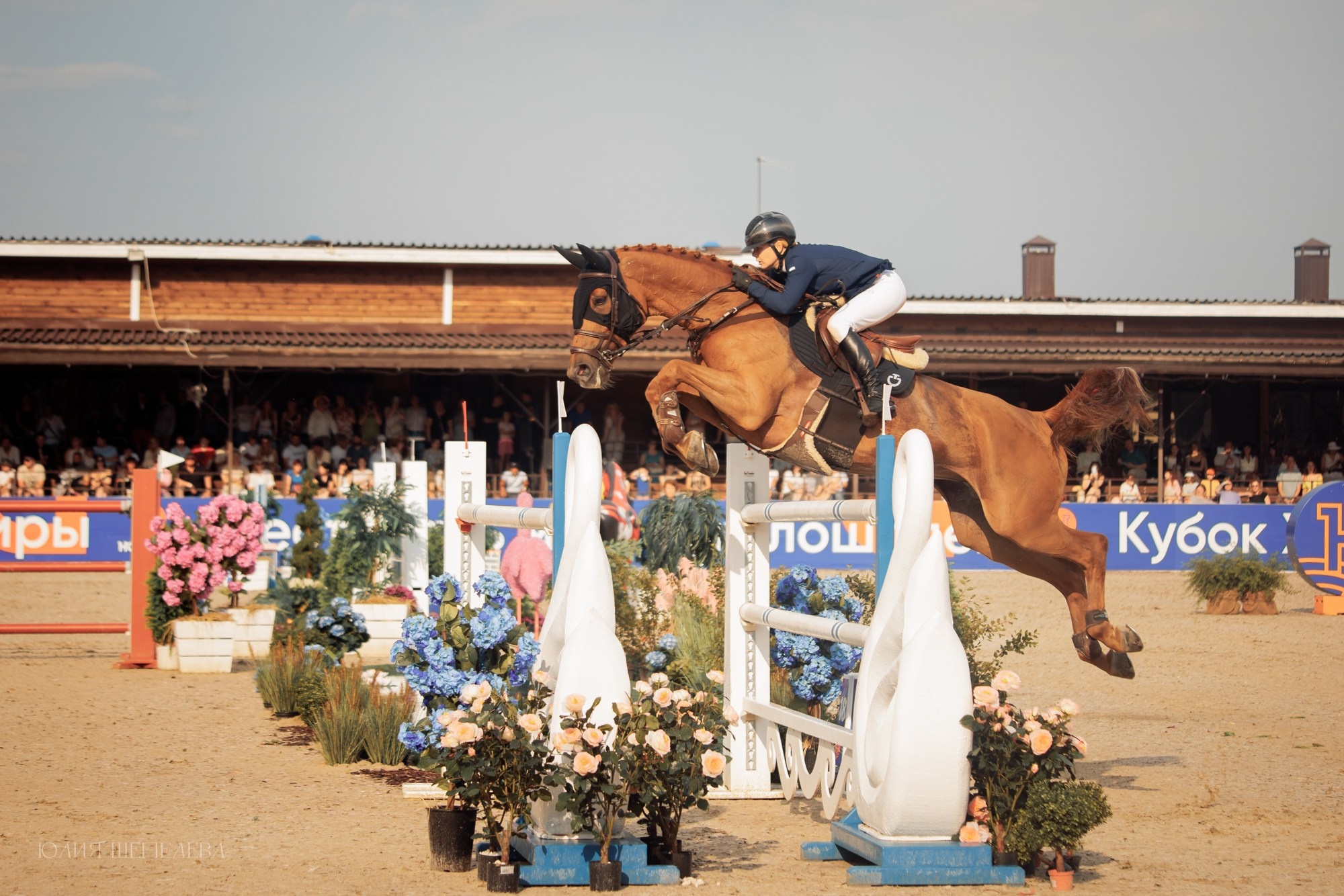 Дерби. Horseka 2024. Детская Конная фотография в Москве Юлия Шепелева