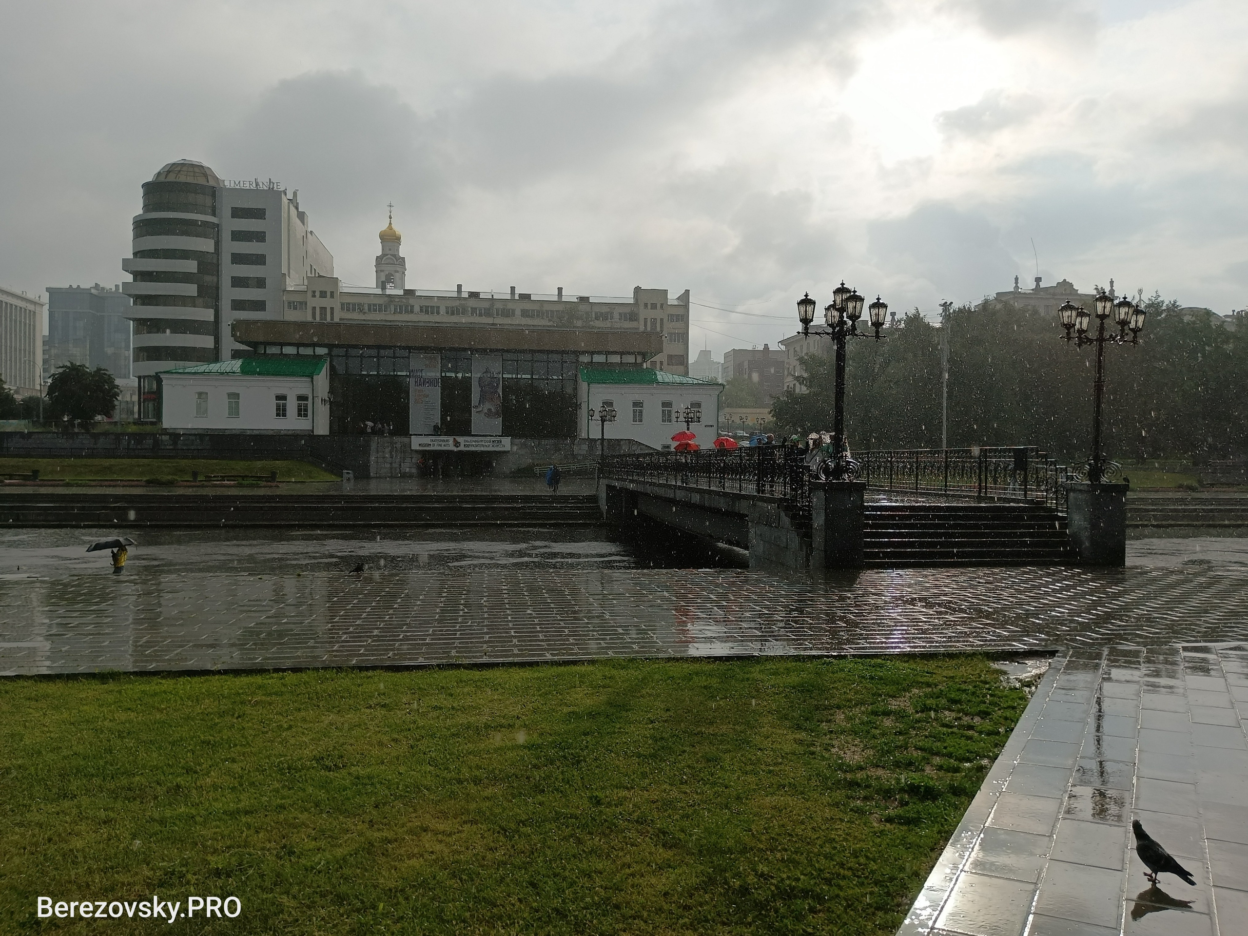 Солнечный. Фотограф в Санкт-Петербурге Березовский Даниил