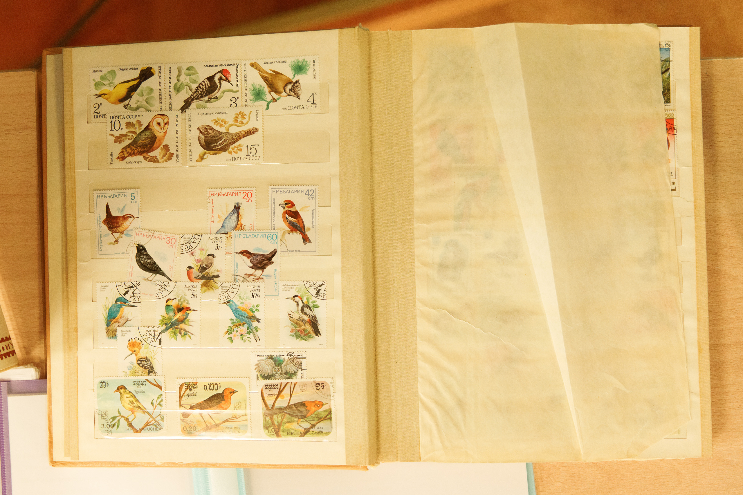 Школа «Кристалл» | Show us your talent. Свадебный, семейный и школьный фотограф в Сызрани Максим Баталов