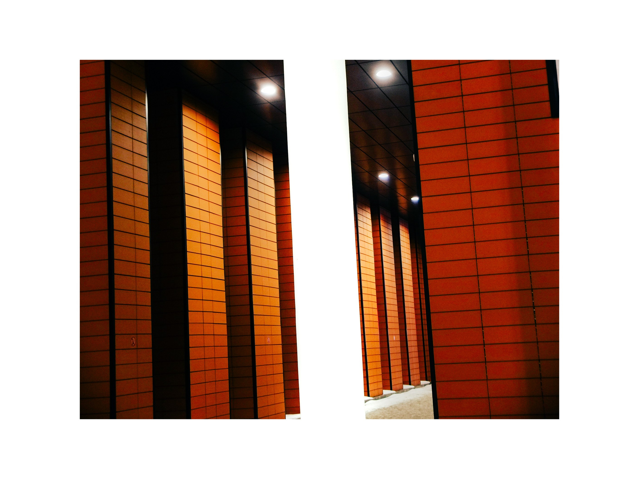 Шмитов Егор