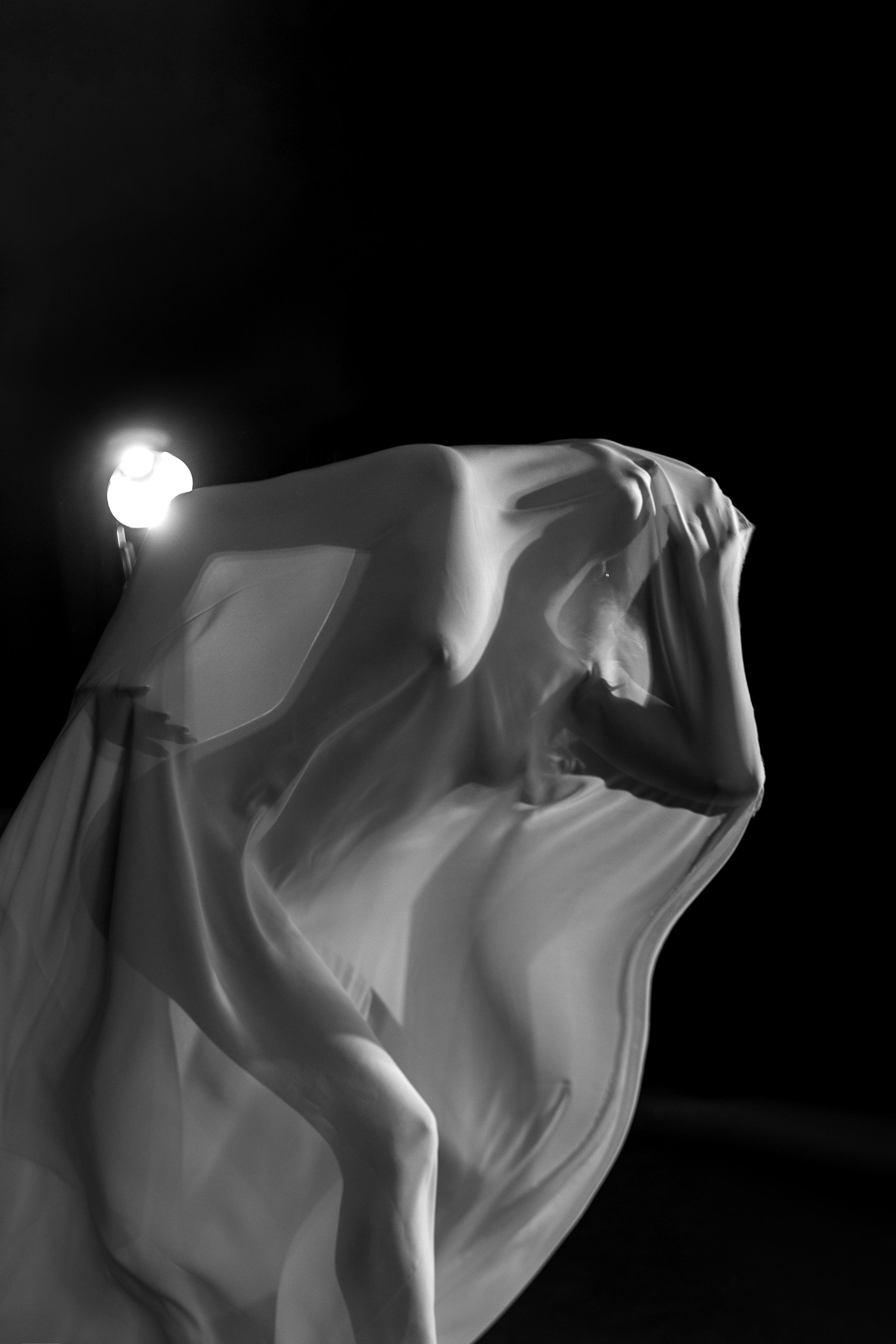 Арт-ню. Алена Борисова фотограф в Ставрополе