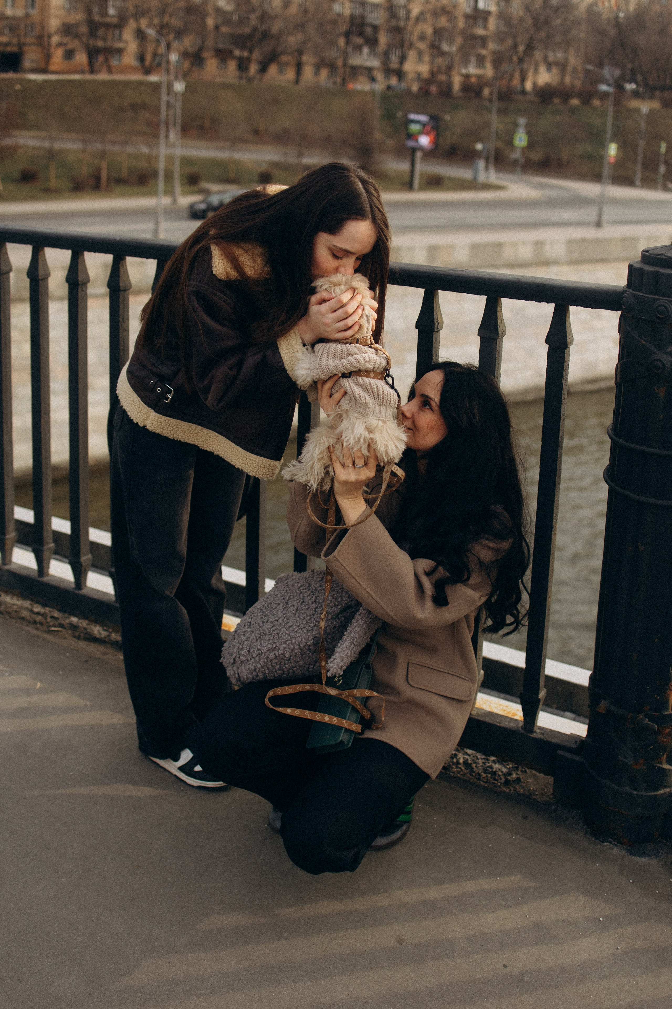 Маша, Лиза и Луна. Фотораф — анималист Мария Шистка