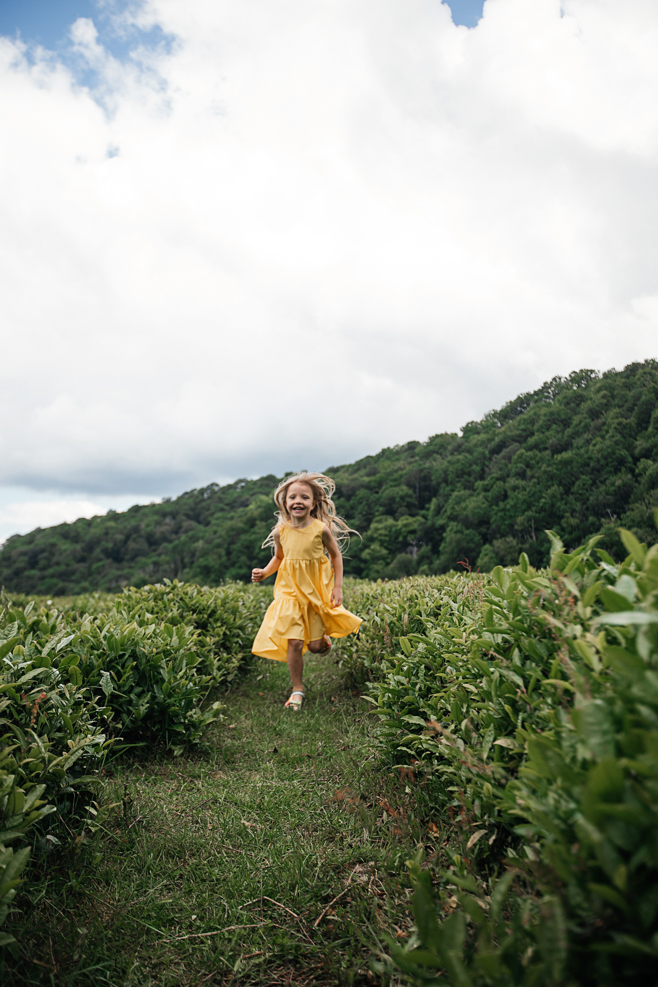 Tea plantation. Efimova Model Agency