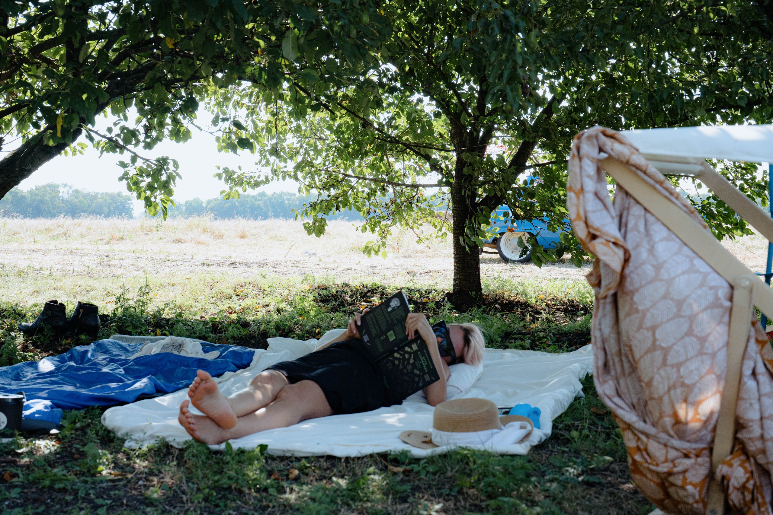 ASS FAMILY | СОН В ДЕРЕВНЕ | АВИАРЕЖИМ 8.0