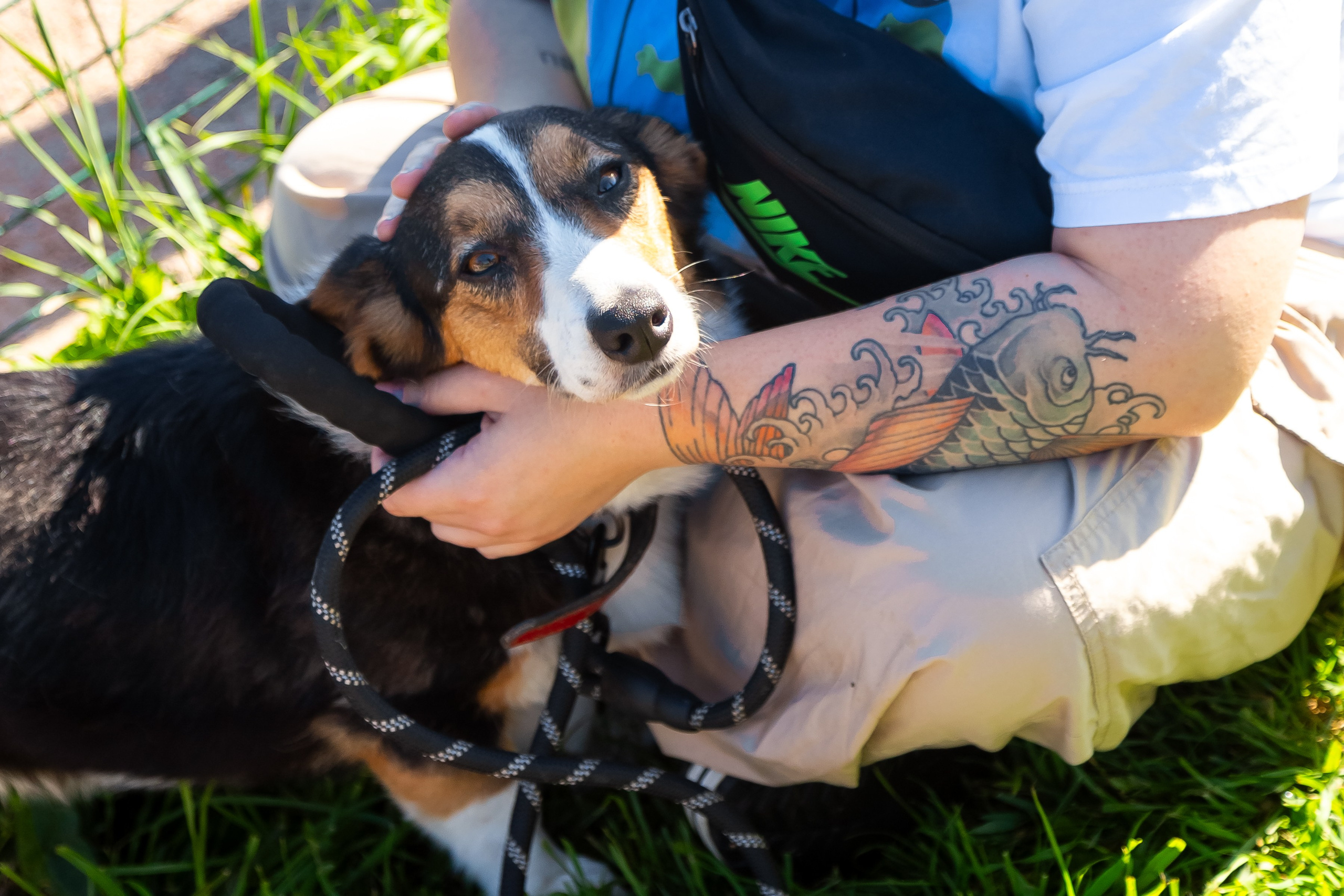 Petshop Забота. Фотограф в Санкт-Петербурге Чумаков Семен