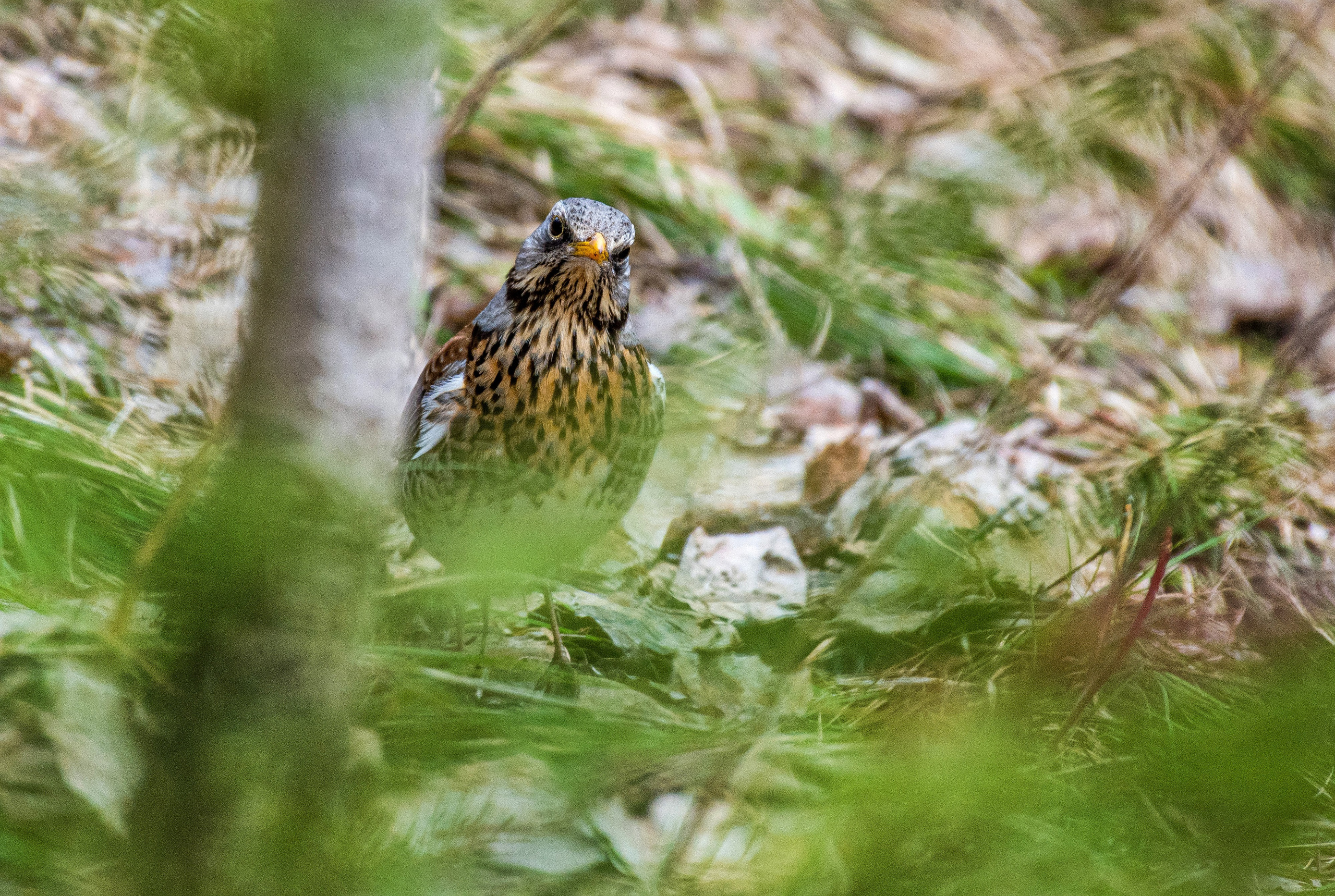Фотоохота. Репортажный фотограф в Ижевске Константин Ившин