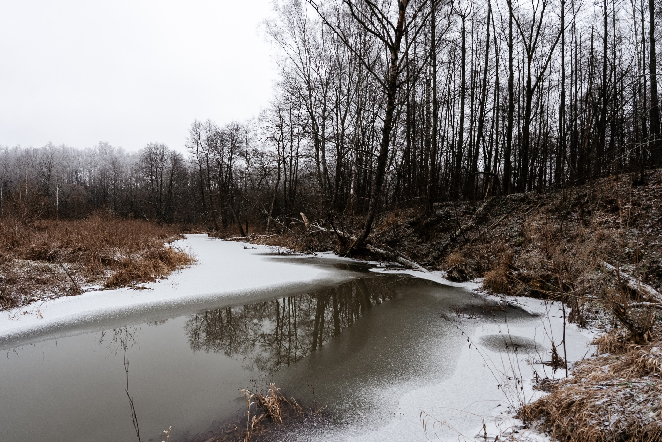Прогулка по оврагу близ реки. Vlad Trykov