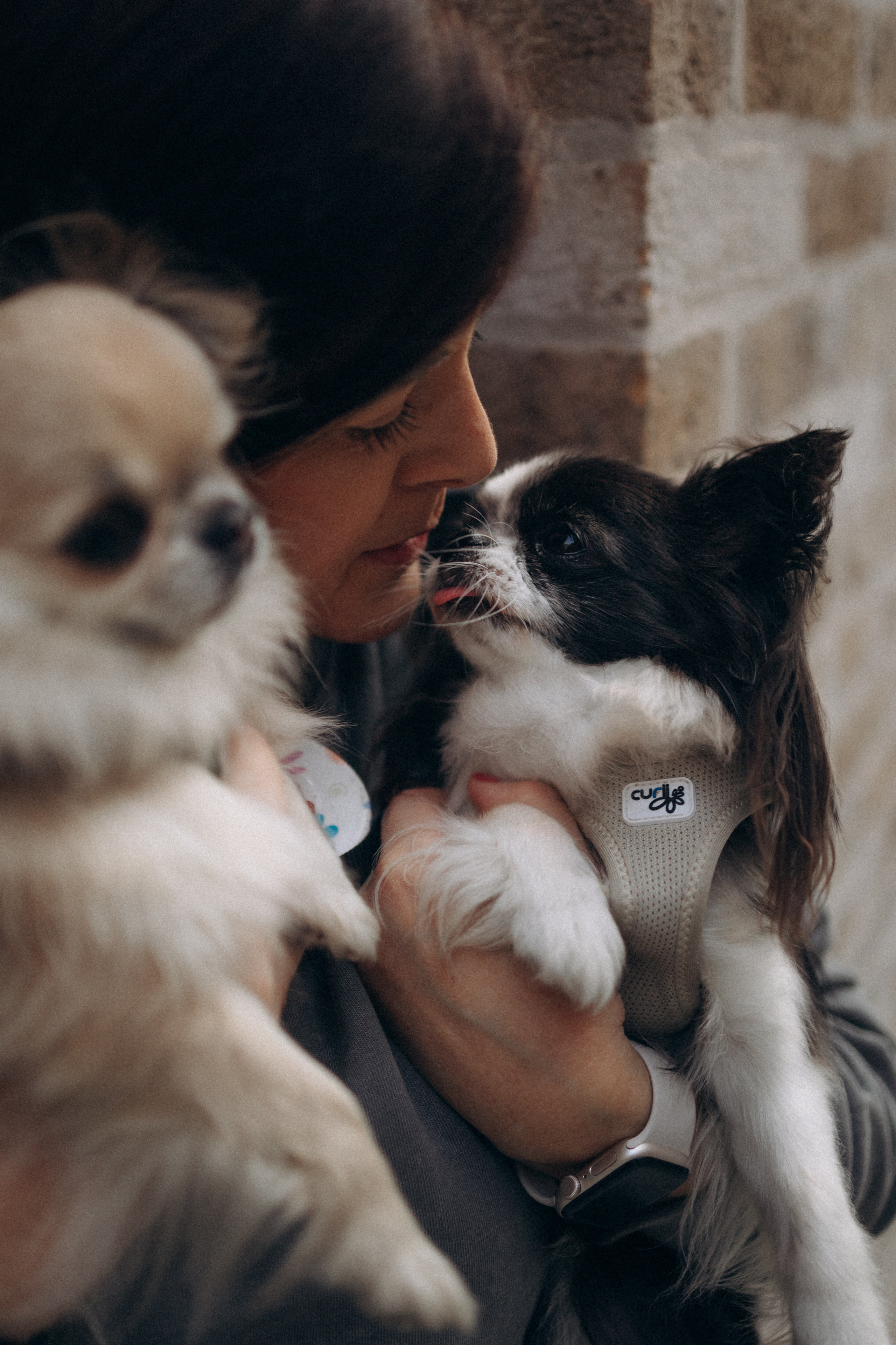 Кристина, Тия и Тедди. Фотораф — анималист Мария Шистка