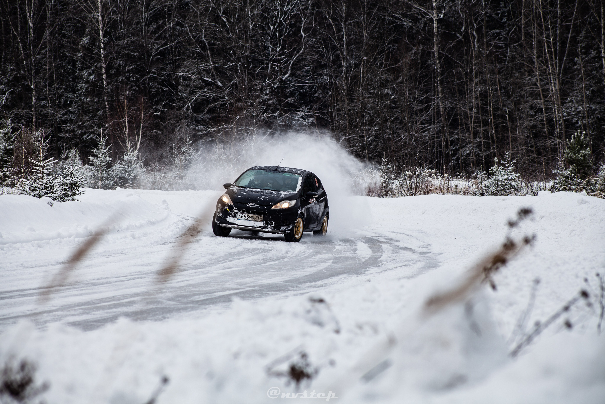 RSE Тропикана 2023. Мультижанровый фотограф в Москве Наталия Степанова