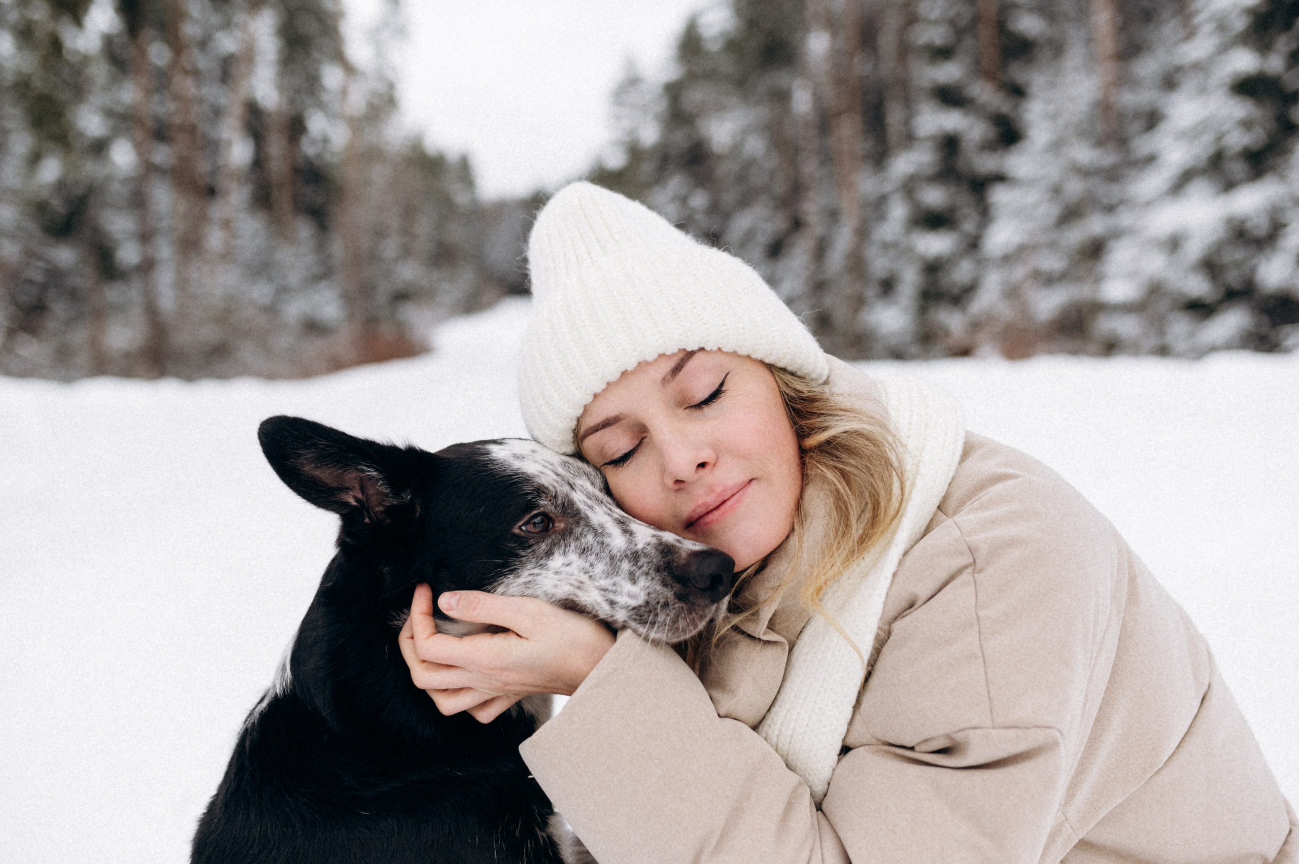 Аня и Милан. Фотограф анималист в Москве Ольга Агушева